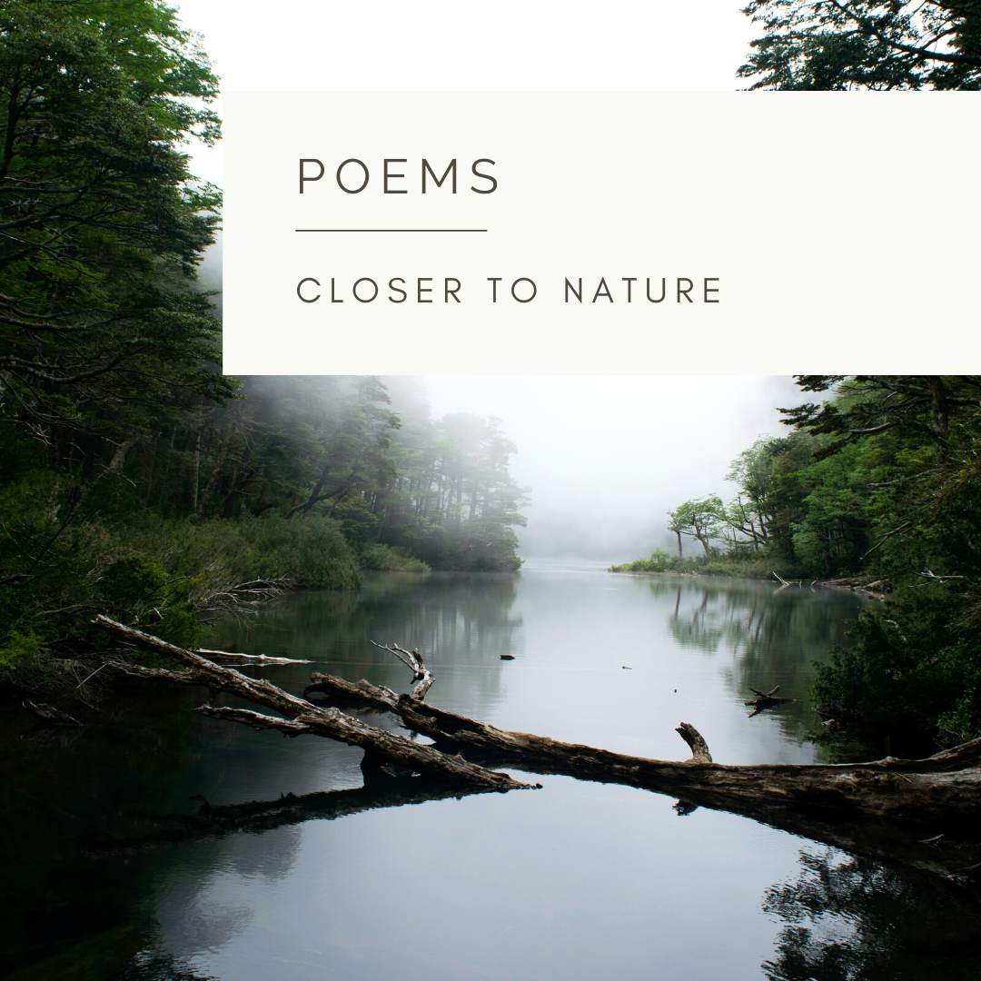 A Sacred Place - Poem and Video  by Sue Cartwright, Spiral Leaf