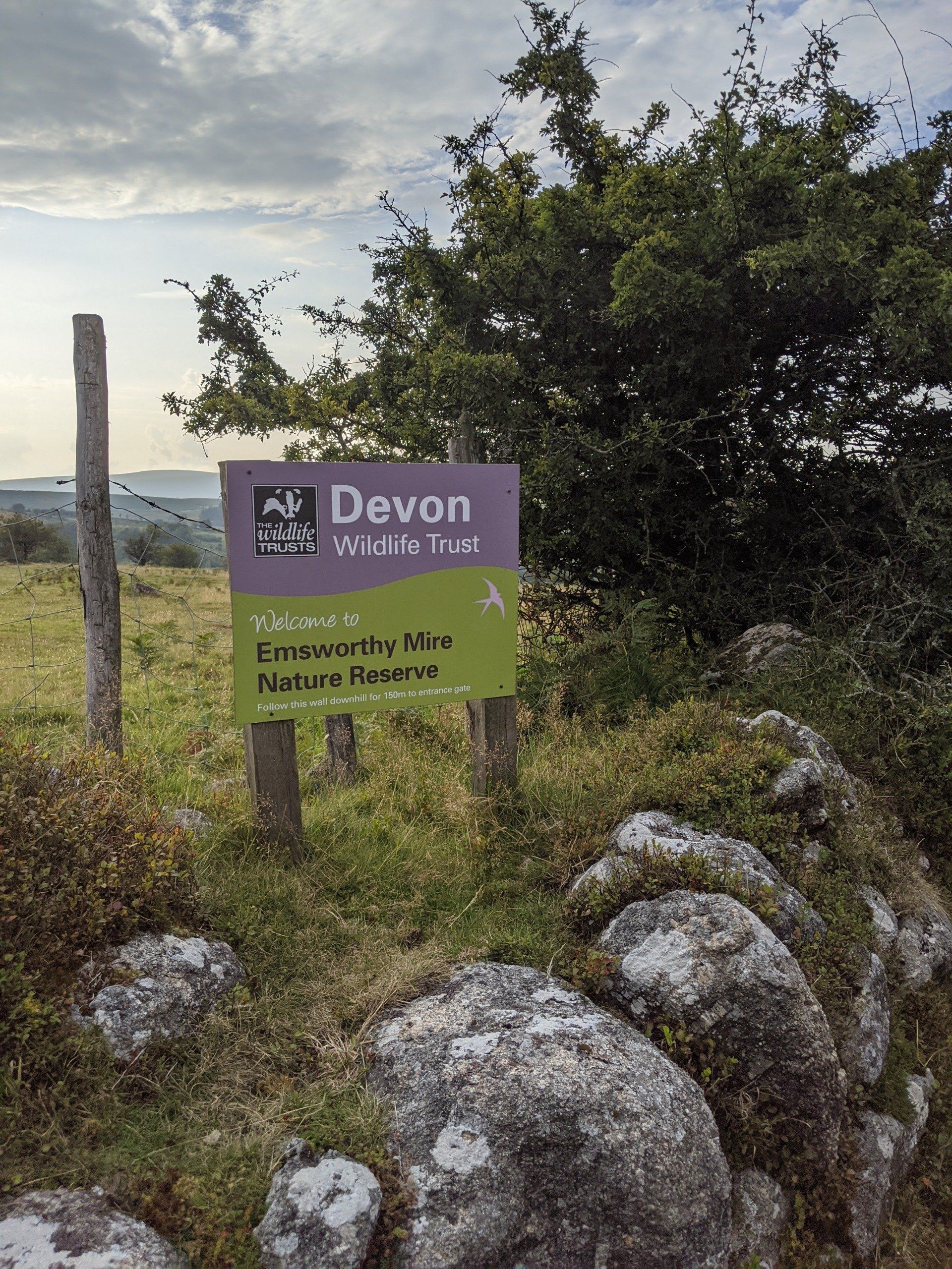 Where To Find Nature by Sue Cartwright, Spiral Leaf