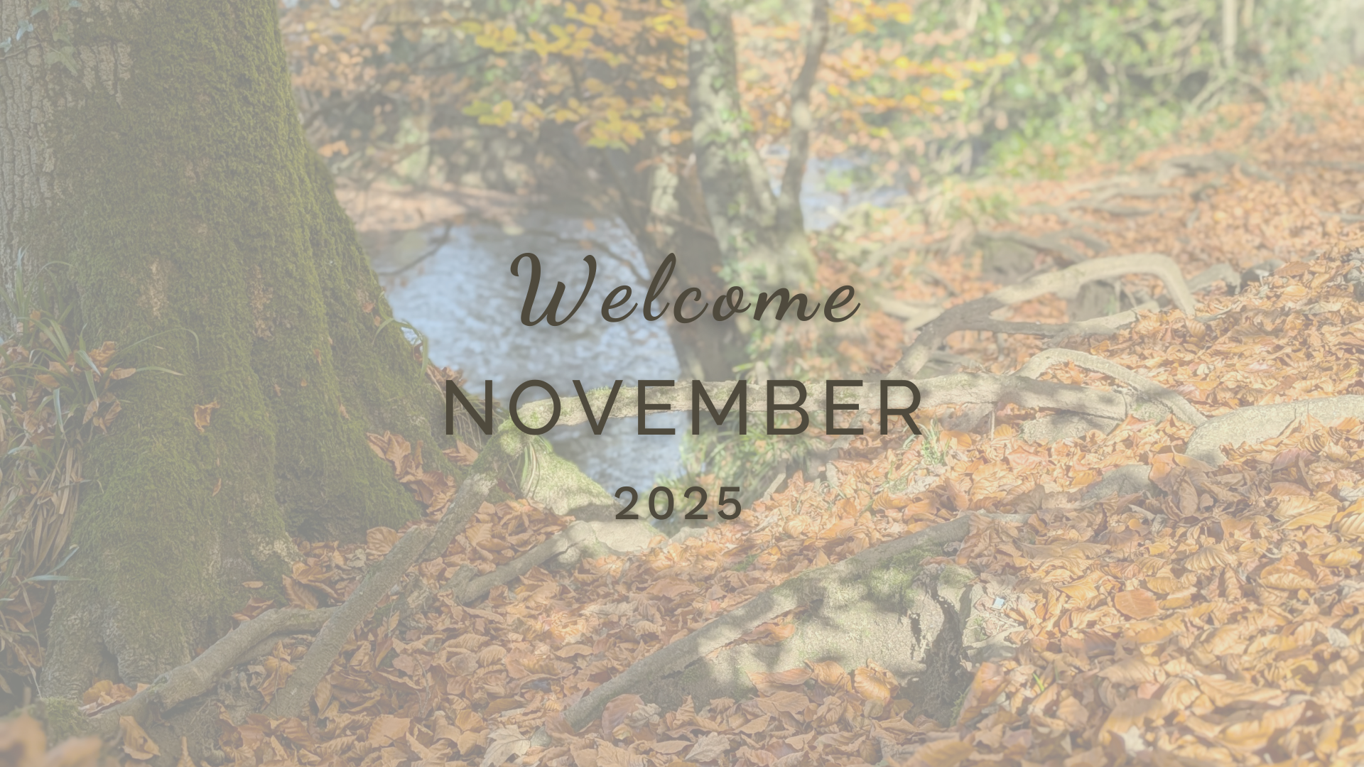Welcome November (Almanac 2025)