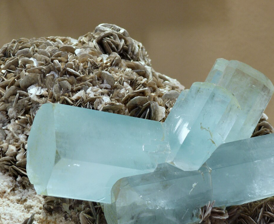 Welcome March (2026) by Sue Cartwright, Spiral Leaf