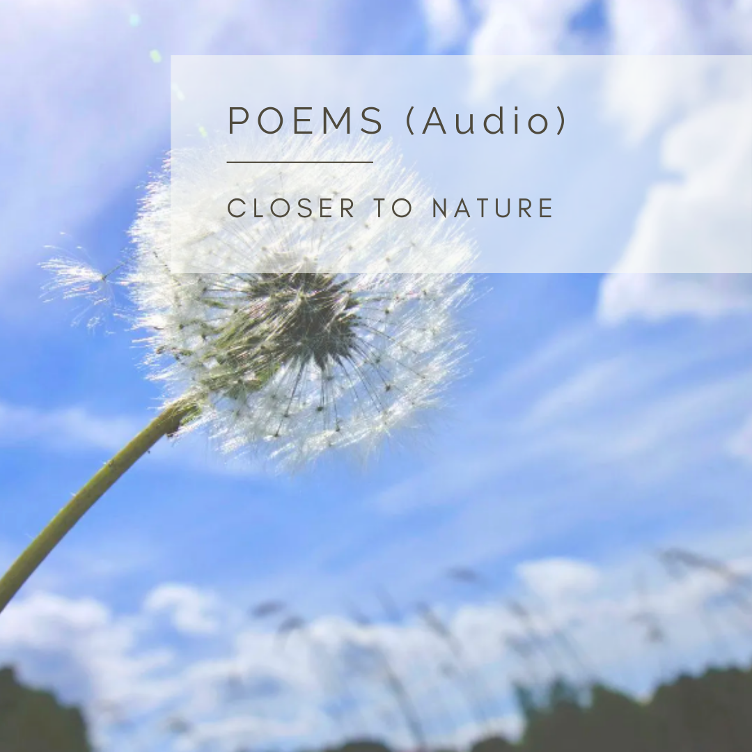 Seeds of Life - An Audio Poem and Video by Sue Cartwright, Spiral Leaf