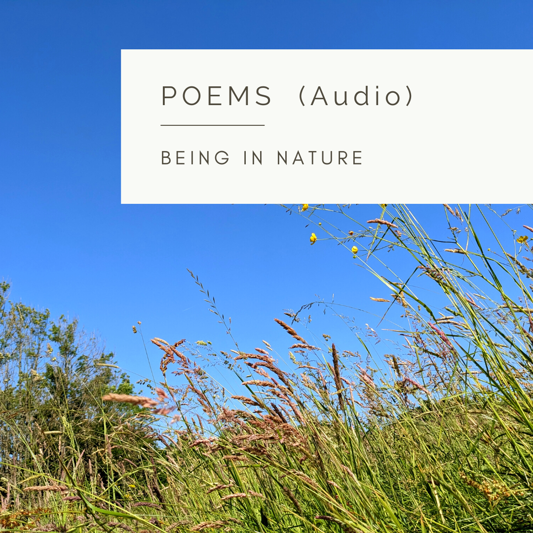 A Wildflower Meadow - An Audio Poem and Video by Sue Cartwright, Spiral Leaf