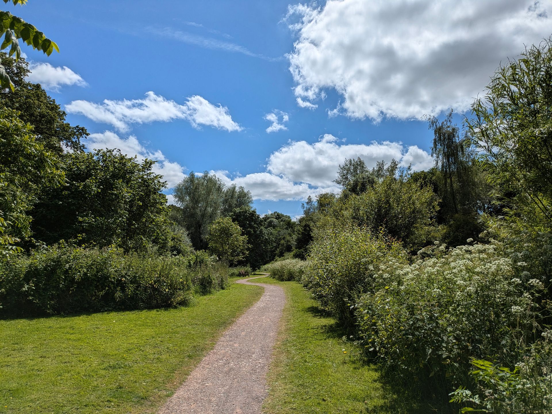 Healing Garden Gallery - Photograph by Sue Cartwright, Spiral Leaf