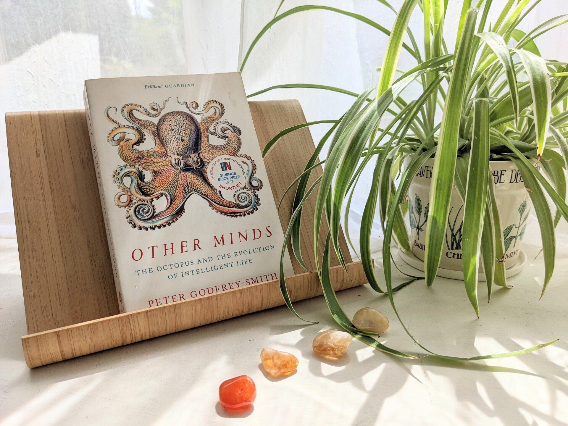 Other Minds by Peter Godfrey-Smith - Book Review by Sue Cartwright, Spiral Leaf