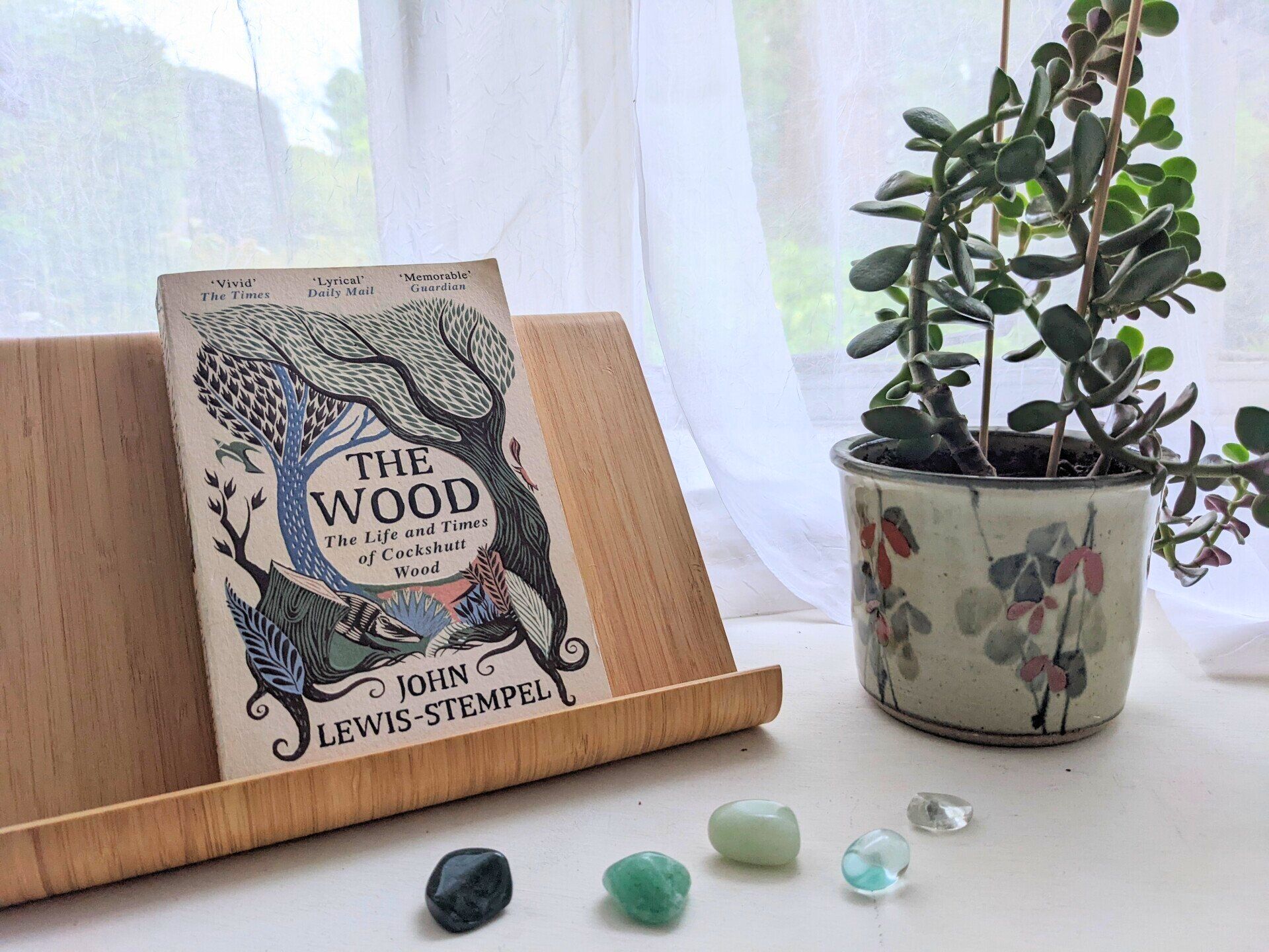 The Wood by John Lewis-Stempel - Photograph and Book Review by Sue Cartwright, Spiral Leaf