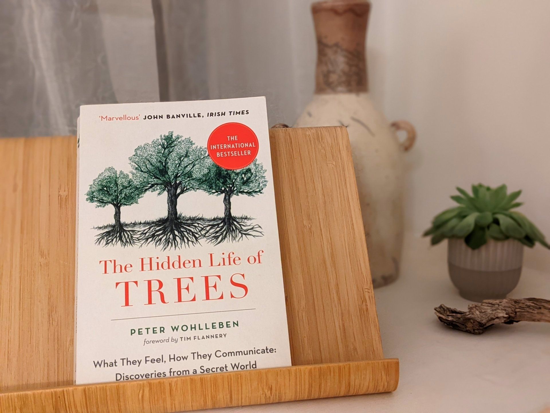 The Hidden Life of Trees by Peter Wohlleben - Book Review by Sue Cartwright, Spiral Leaf