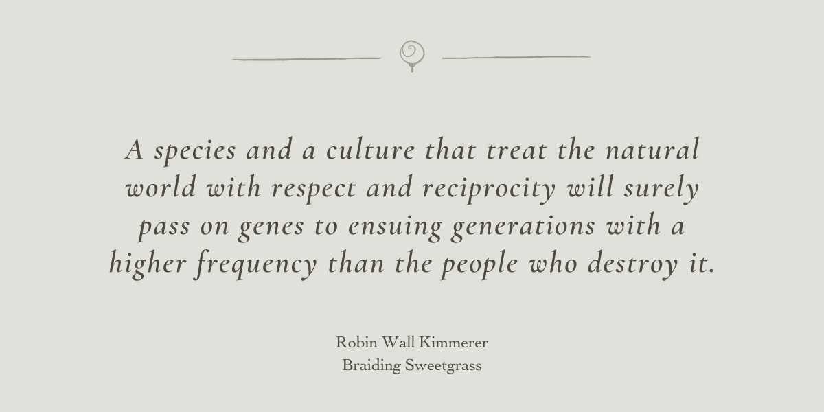 Braiding Sweetgrass by Robin Wall Kimmerer - Book Review by Sue Cartwright, Spiral Leaf