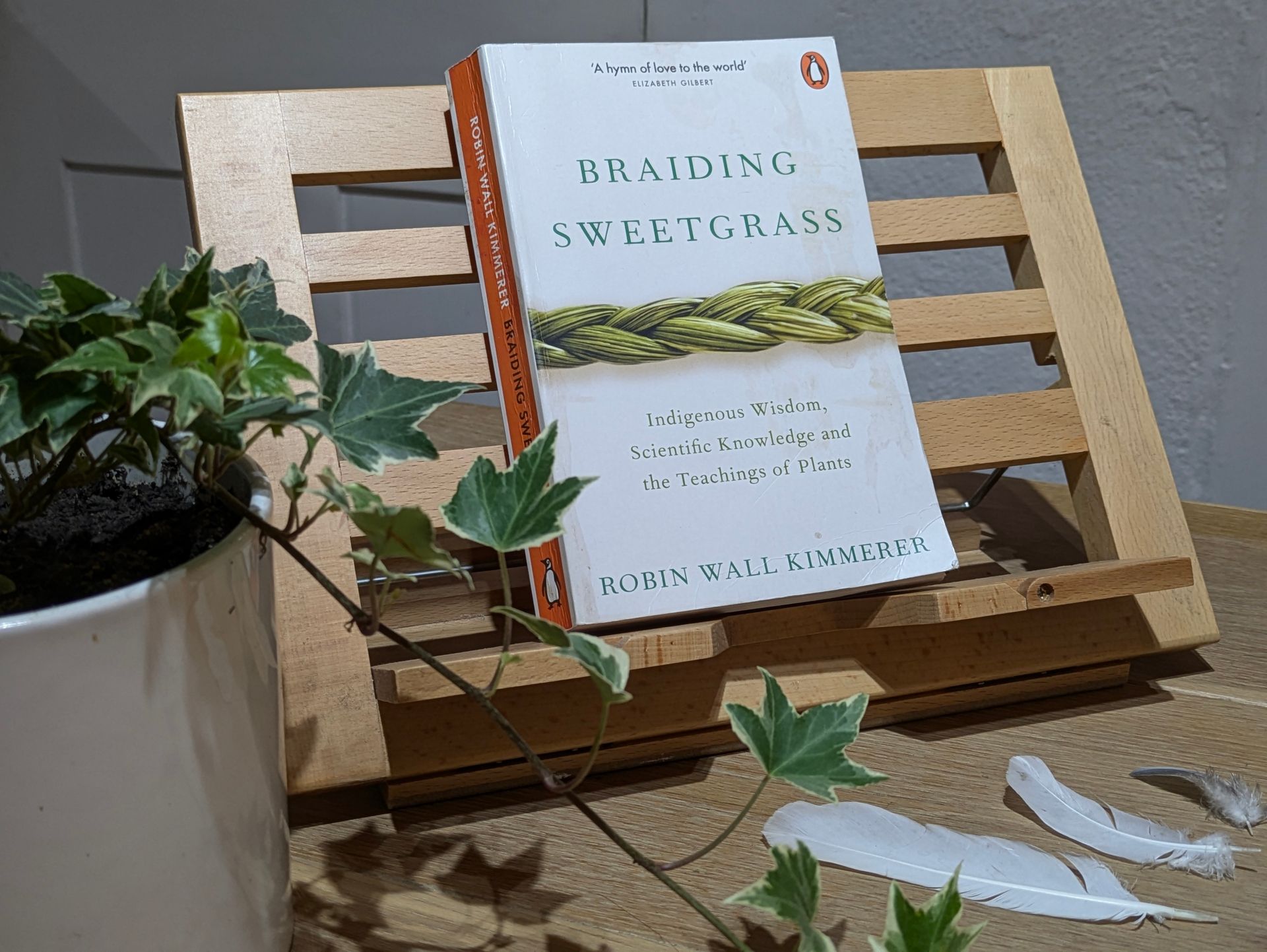 Braiding Sweetgrass by Robin Wall Kimmerer - Book Review by Sue Cartwright, Spiral Leaf