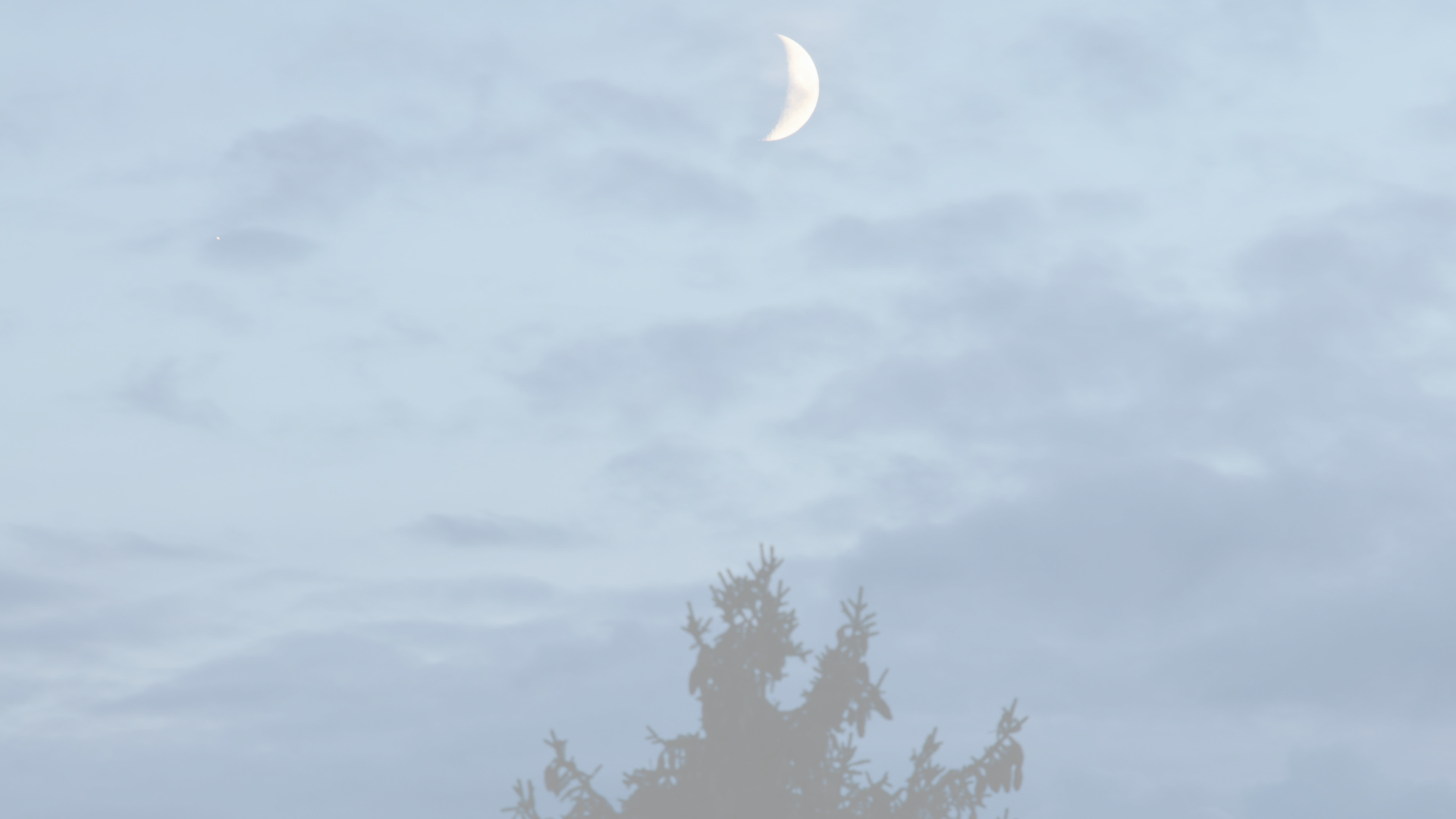 A poem about changes brought in by the New Cold Moon