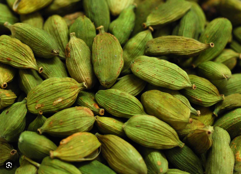 A Healing Spice (Cardamom) by Sue Cartwright, Spiral Leaf