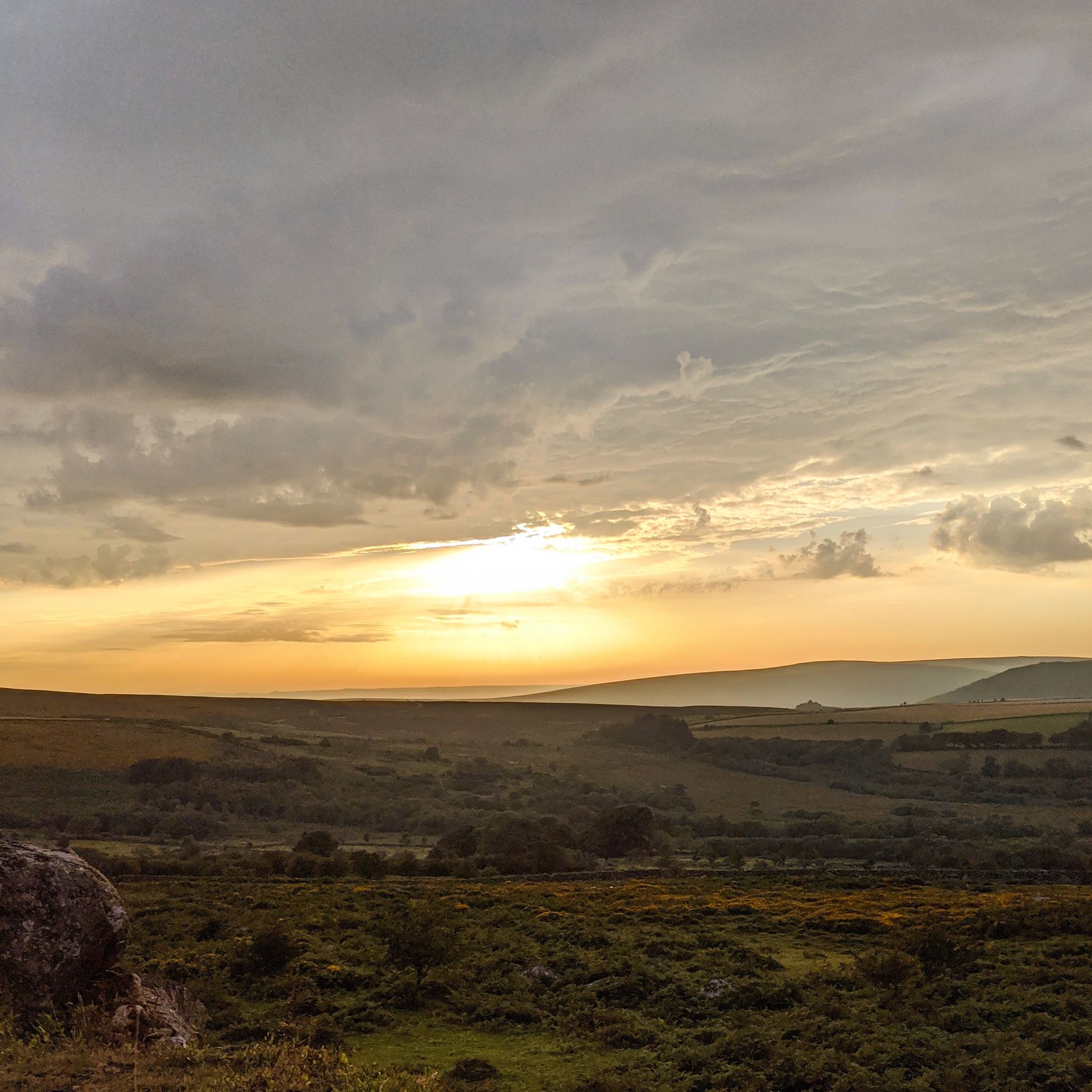 Sunset Sky Gallery - Photograph by Sue Cartwright, Spiral Leaf