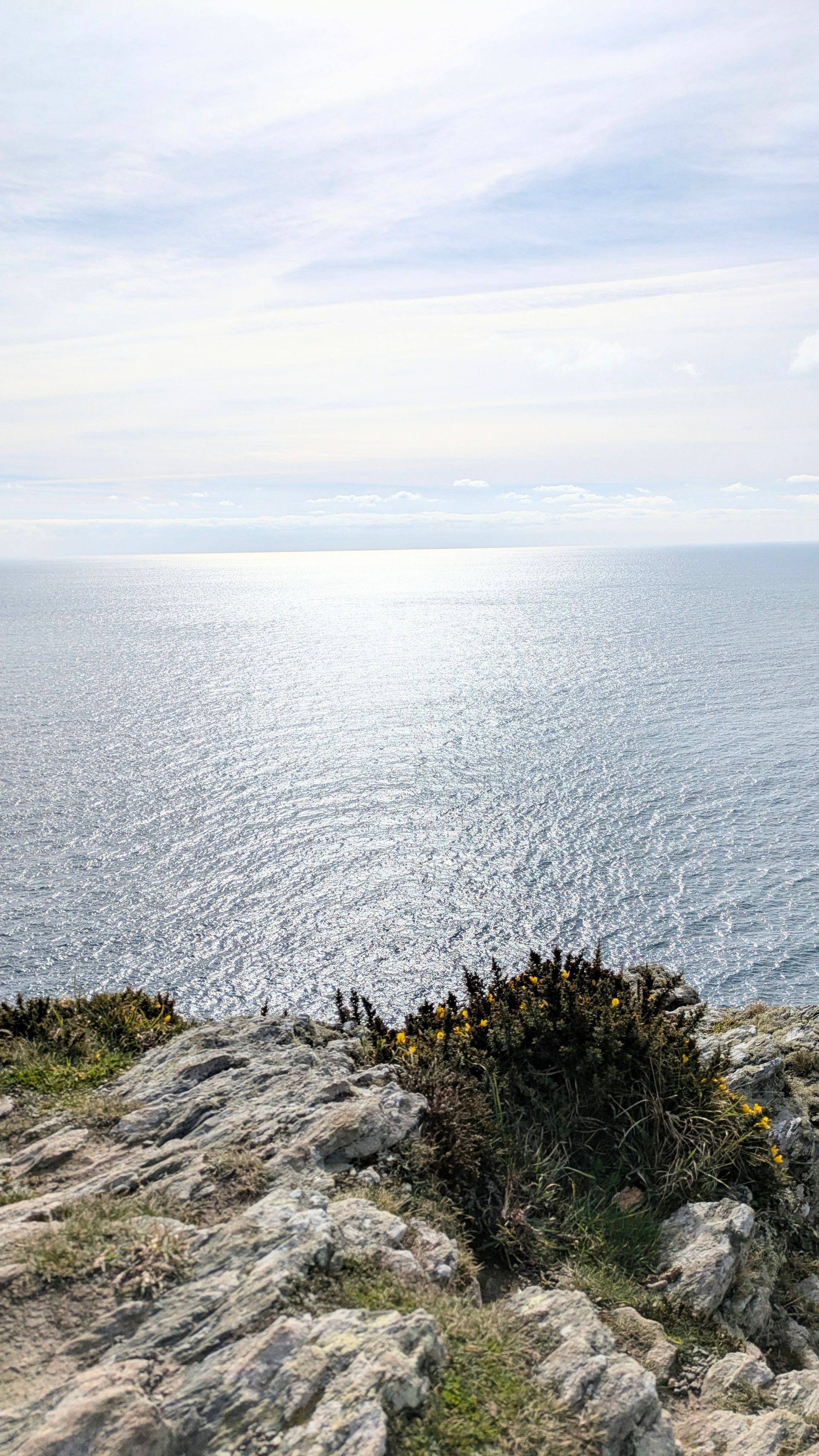 Coastal Path Gallery - Photograph by Sue Cartwright, Spiral Leaf