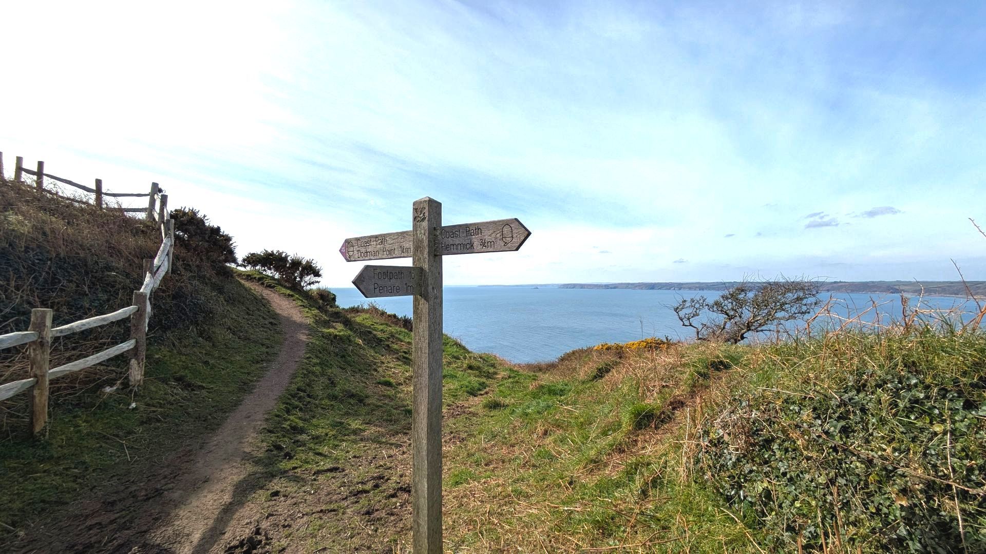 Coastal Path Gallery - Photograph by Sue Cartwright, Spiral Leaf