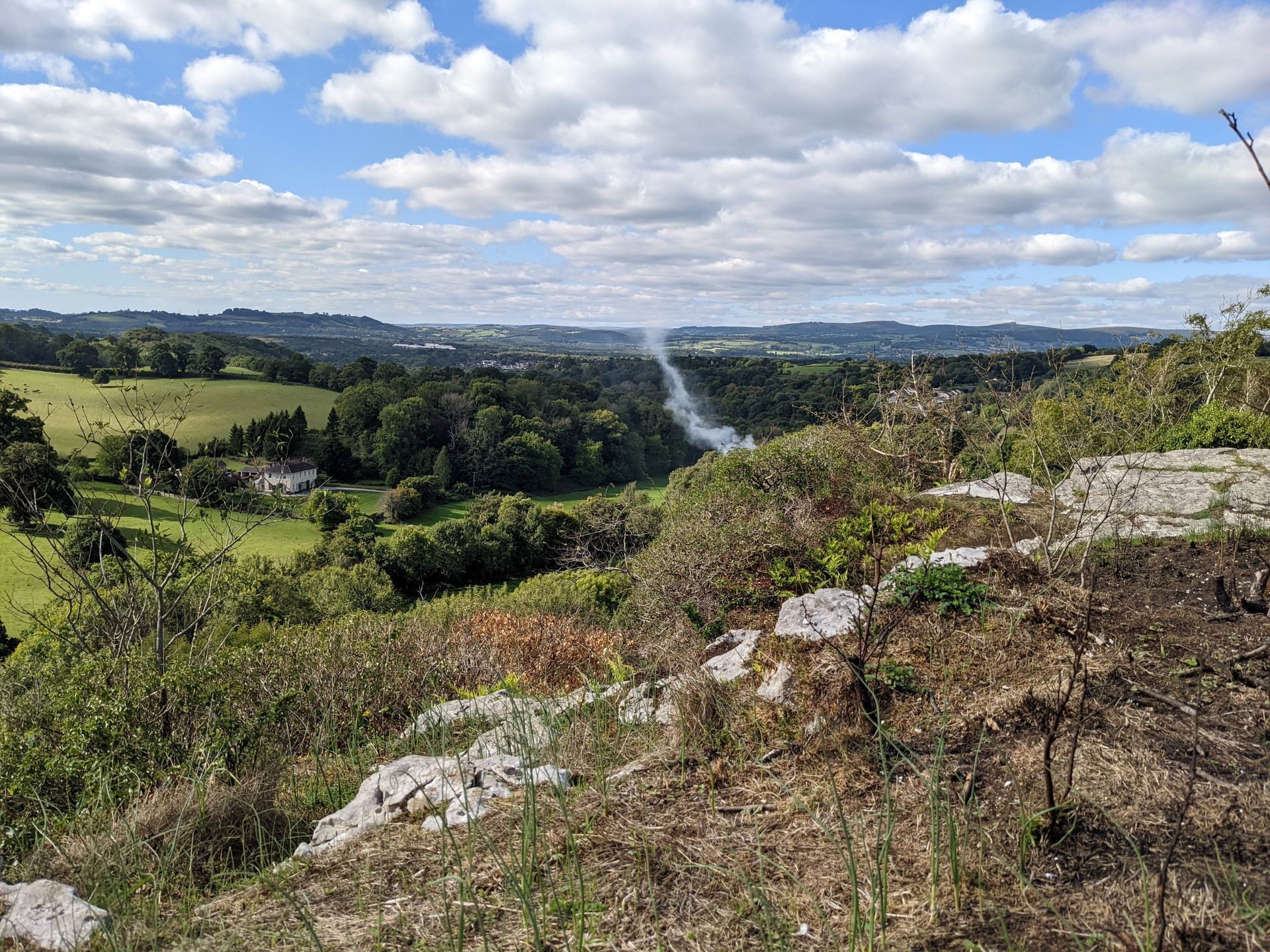 Planting Seeds for the Next Seven Generations by Sue Cartwright, Spiral Leaf