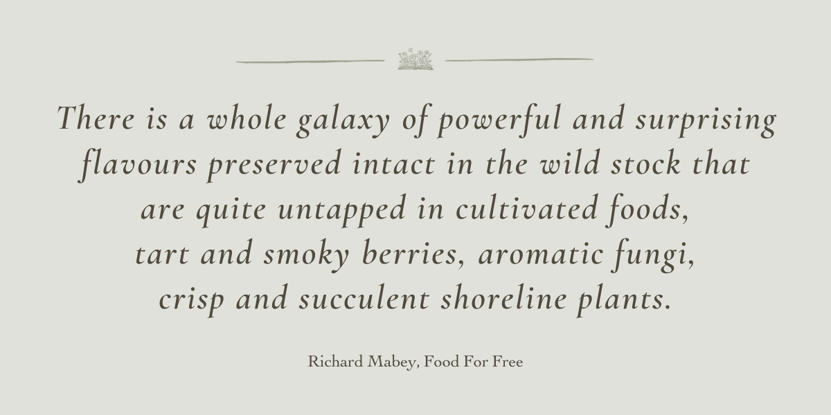 Food For Free by Richard Mabey - Book Review by Sue Cartwright, Spiral Leaf