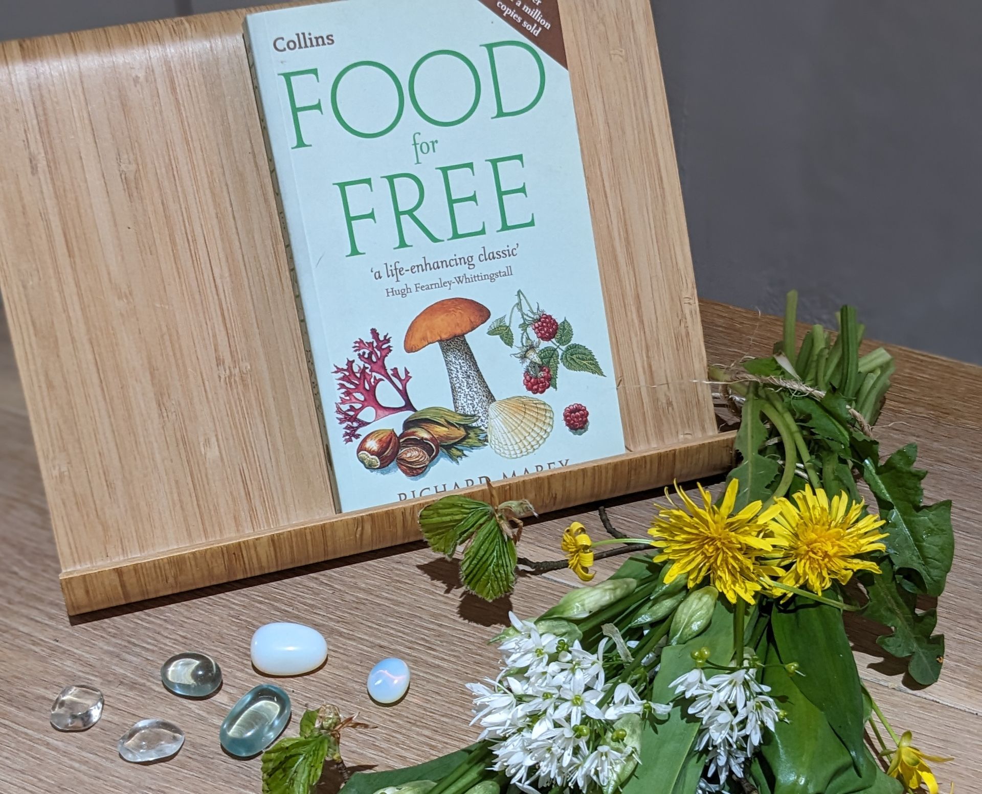 Food For Free by Richard Mabey - A Book Review by Sue Cartwright, Spiral Leaf