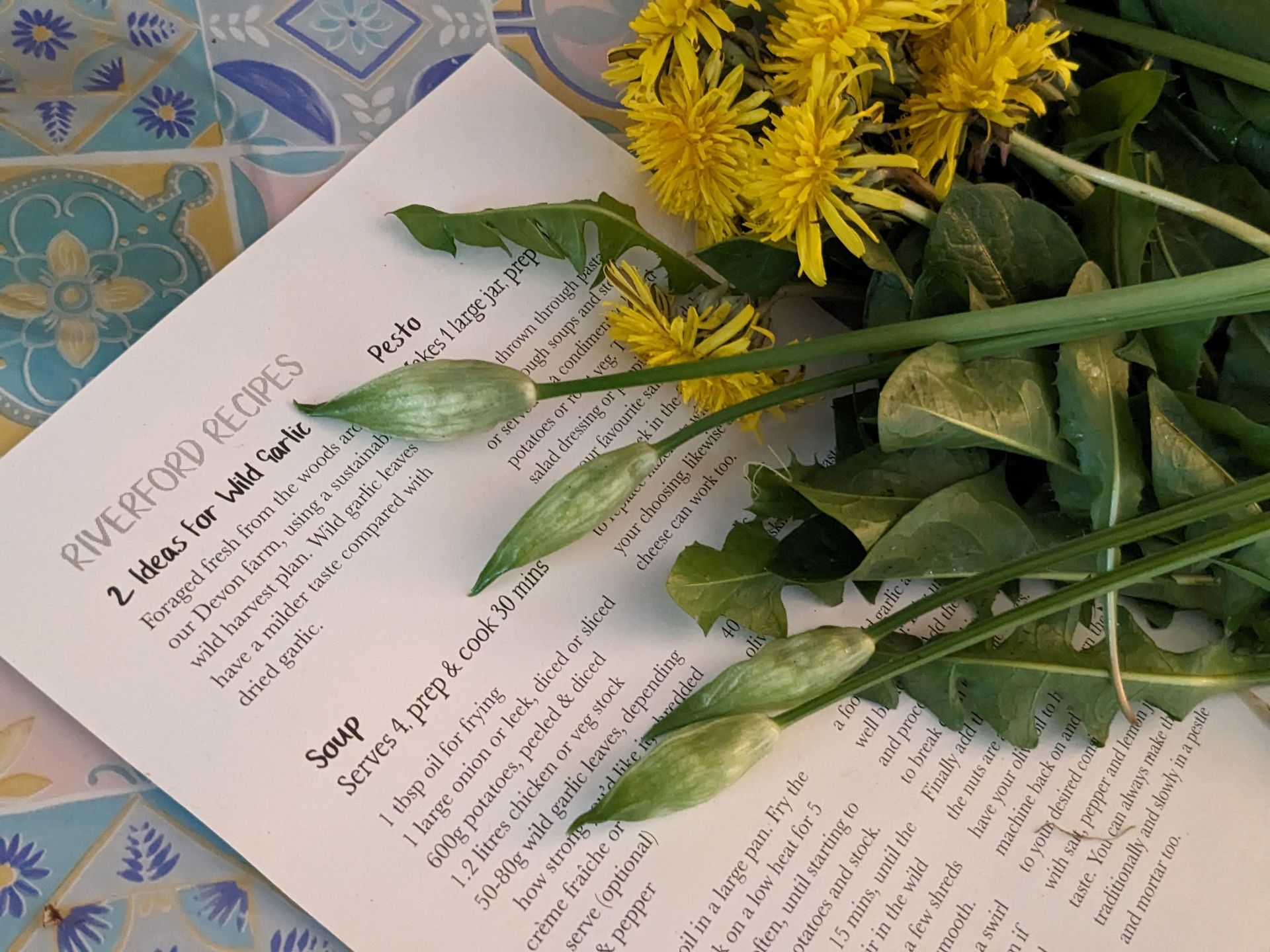 The Wonders of Wild Food by Sue Cartwright, Spiral Leaf