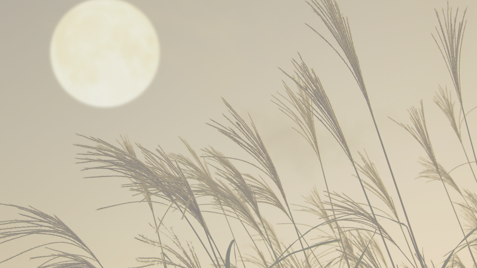A poem about the Full Harvest Moon and Blood Moon Eclispe