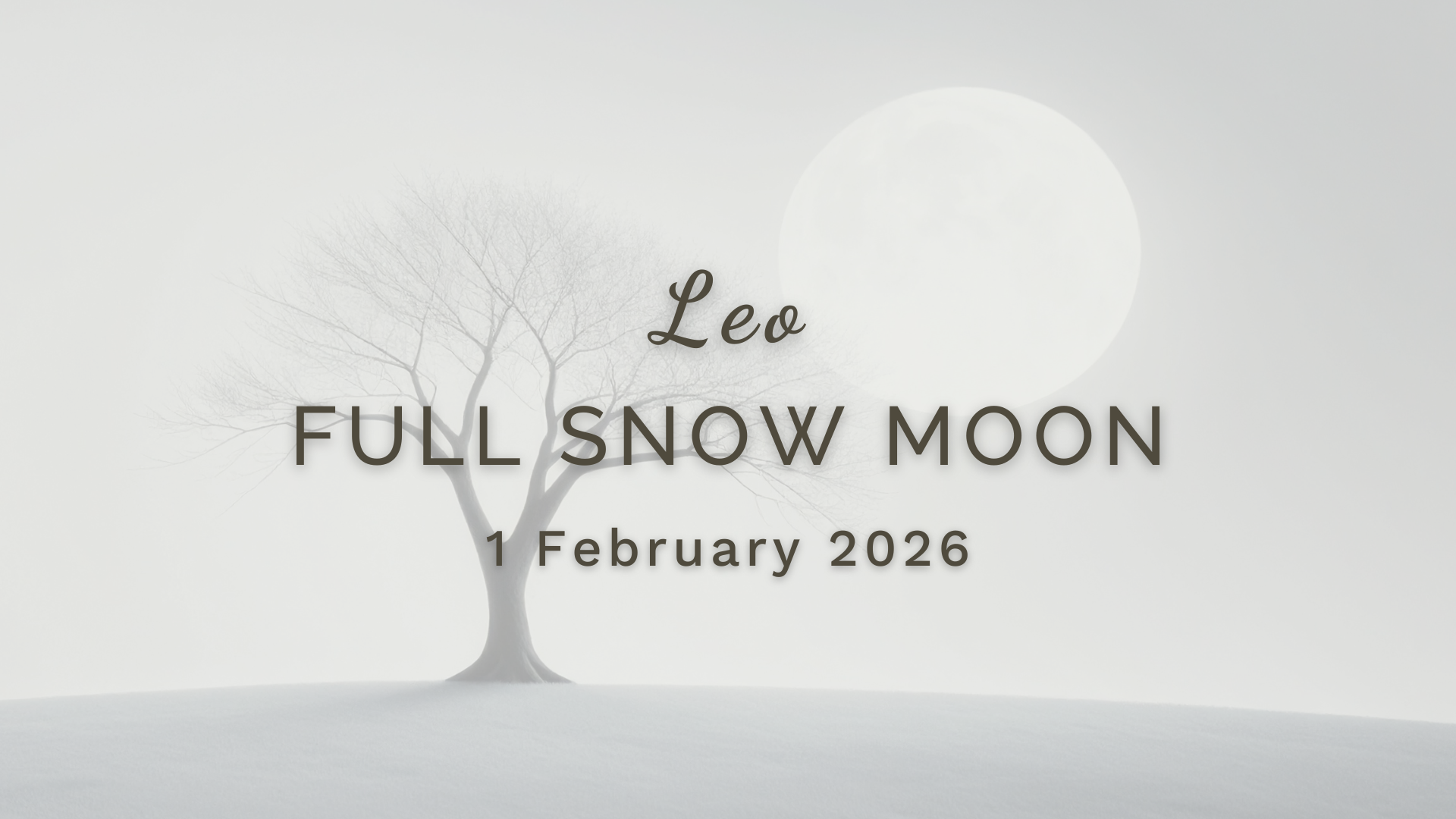 Full Snow Moon in Leo - Sunday 1 February (2026) by Sue Cartwright, Spiral Leaf Full Snow Moon in Leo - Sunday 1 February (2026) by Sue Cartwright, Spiral Leaf