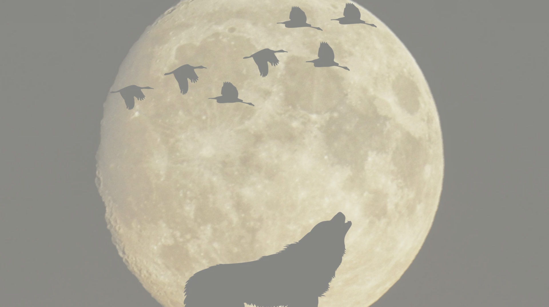 Full Wolf Moon in Cancer - Monday 13 January by Sue Cartwright, Spiral Leaf