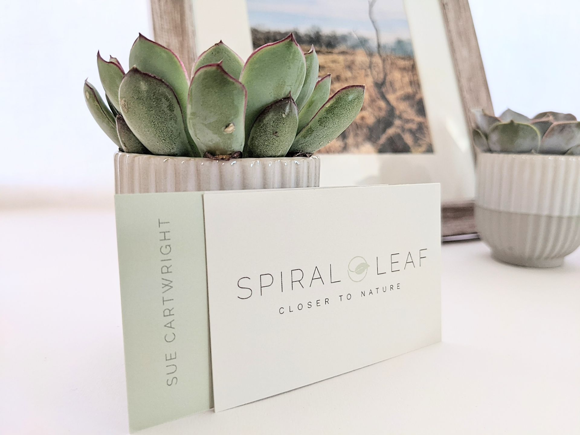 Spiral Leaf Gift Shop - FAQ - Sue Cartwright, Spiral Leaf