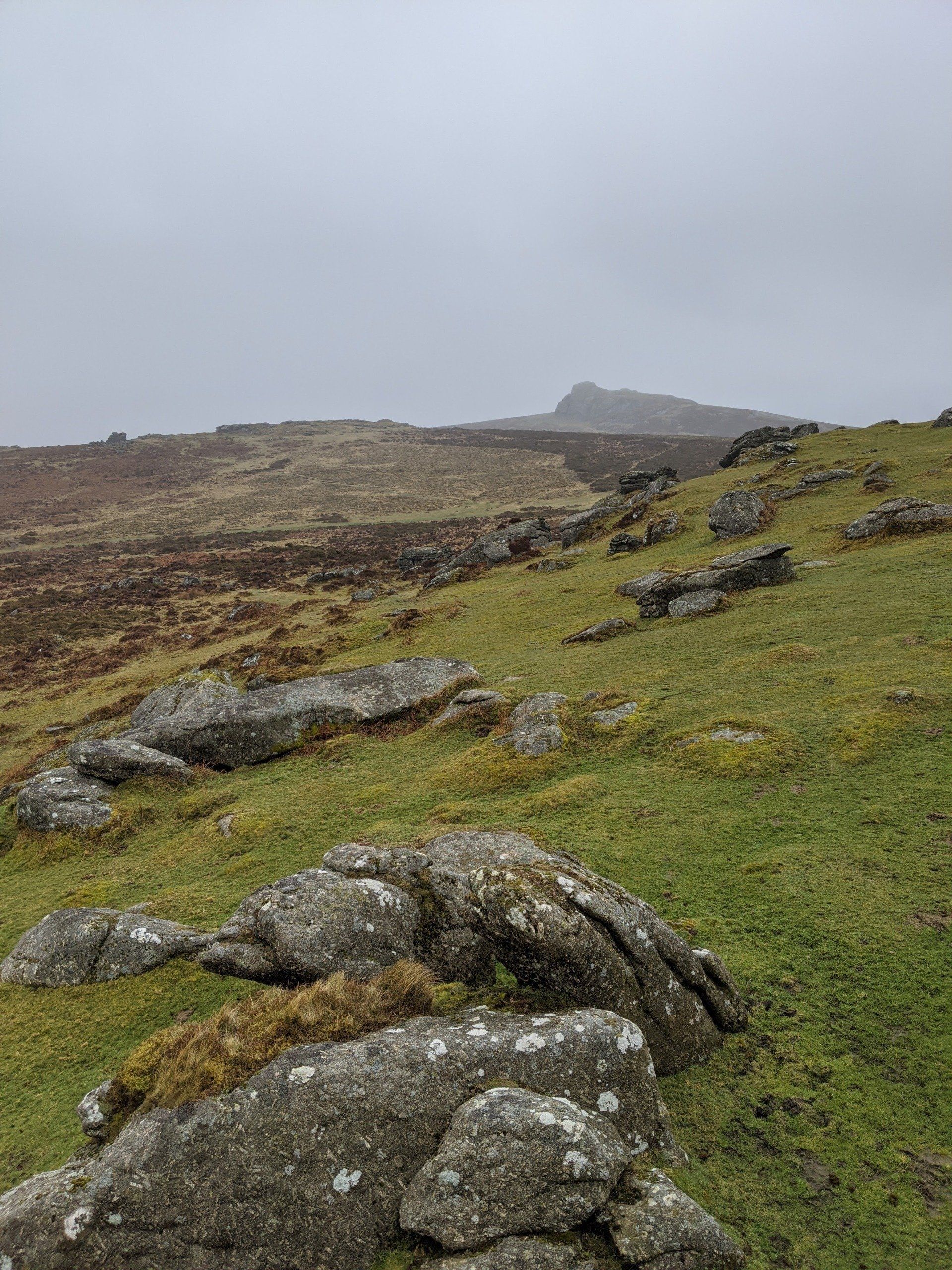 Dartmoor National Park by Sue Cartwright, Spiral Leaf