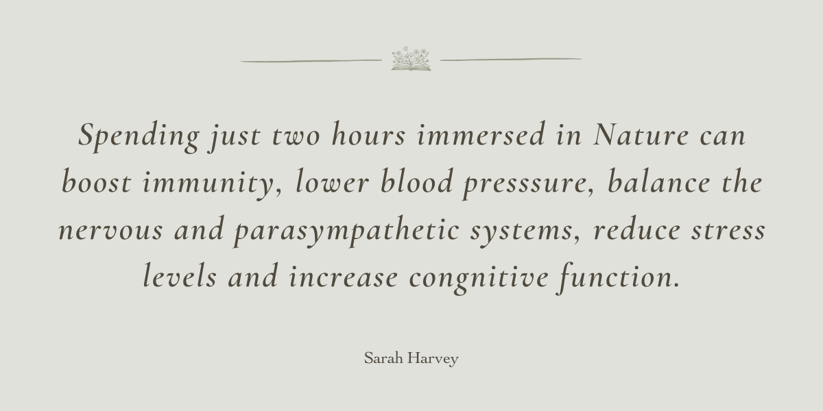 Kaizen for Transforming Habits by Sarah Harvey - A Book Review by Sue Cartwright, Spiral Leaf