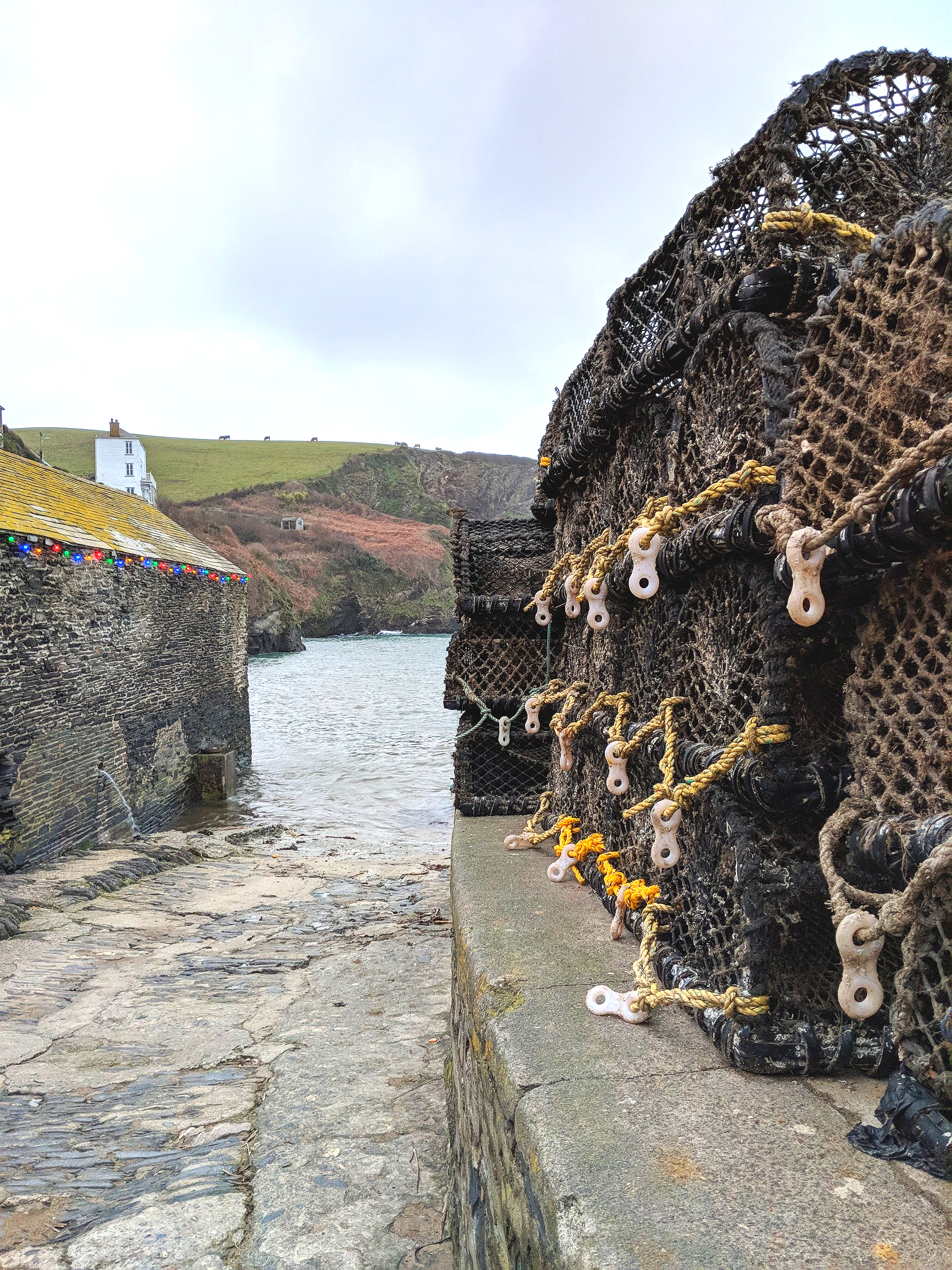 Seaside Gallery - Photograph by Sue Cartwright, Spiral Leaf