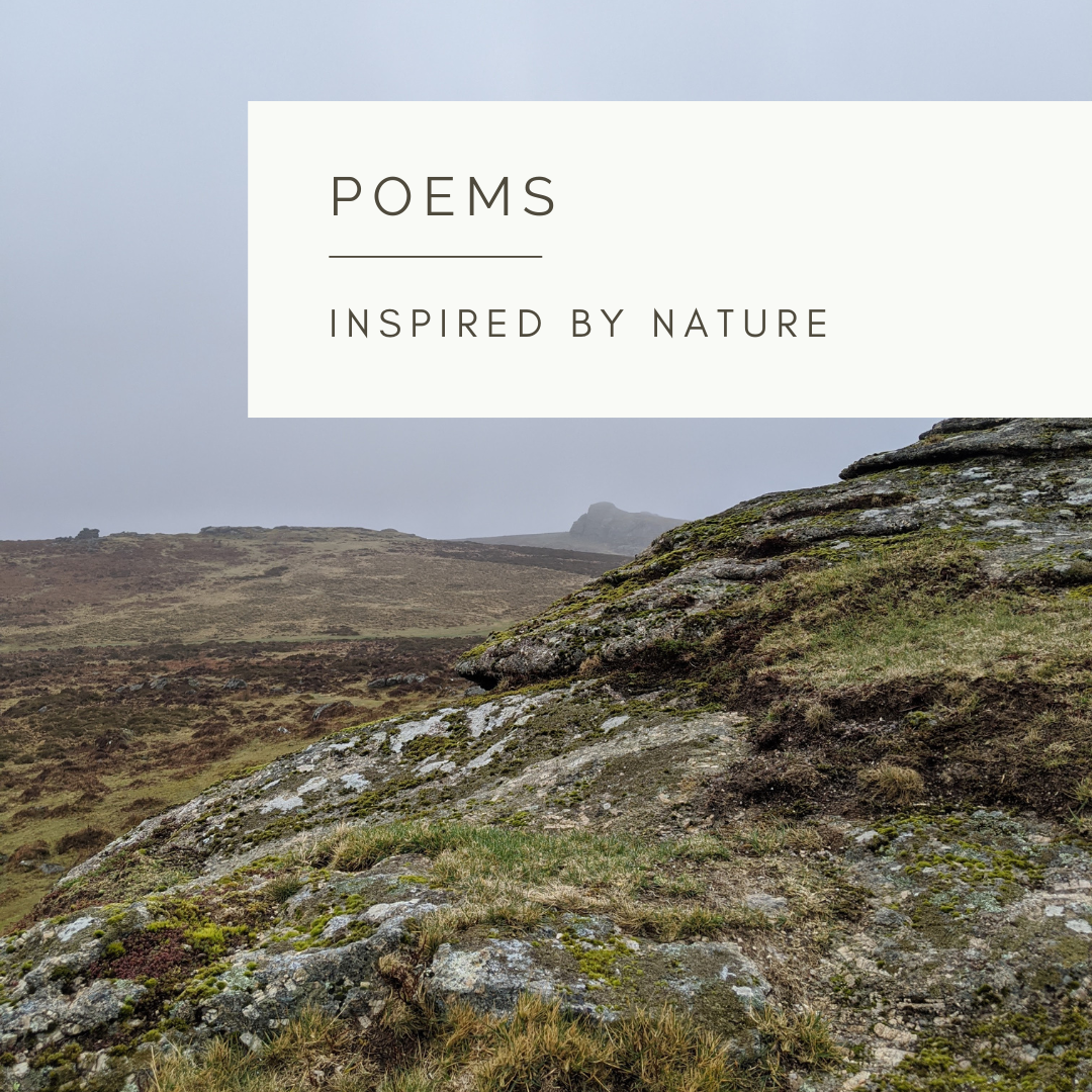 Lady of the Moor - Poem and Video by Sue Cartwright, Spiral Leaf