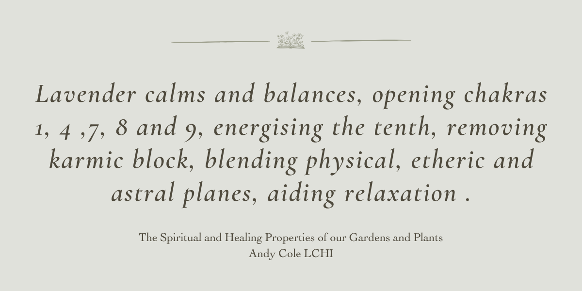 The Spiritual and Healing Properties of our Gardens and Plants by Andy Cole LCHI - Book Review by Sue Cartwright, Spiral Leaf The Spiritual and Healing Properties of our Gardens and Plants by Andy Cole LCHI - Book Review by Sue Cartwright, Spiral Leaf