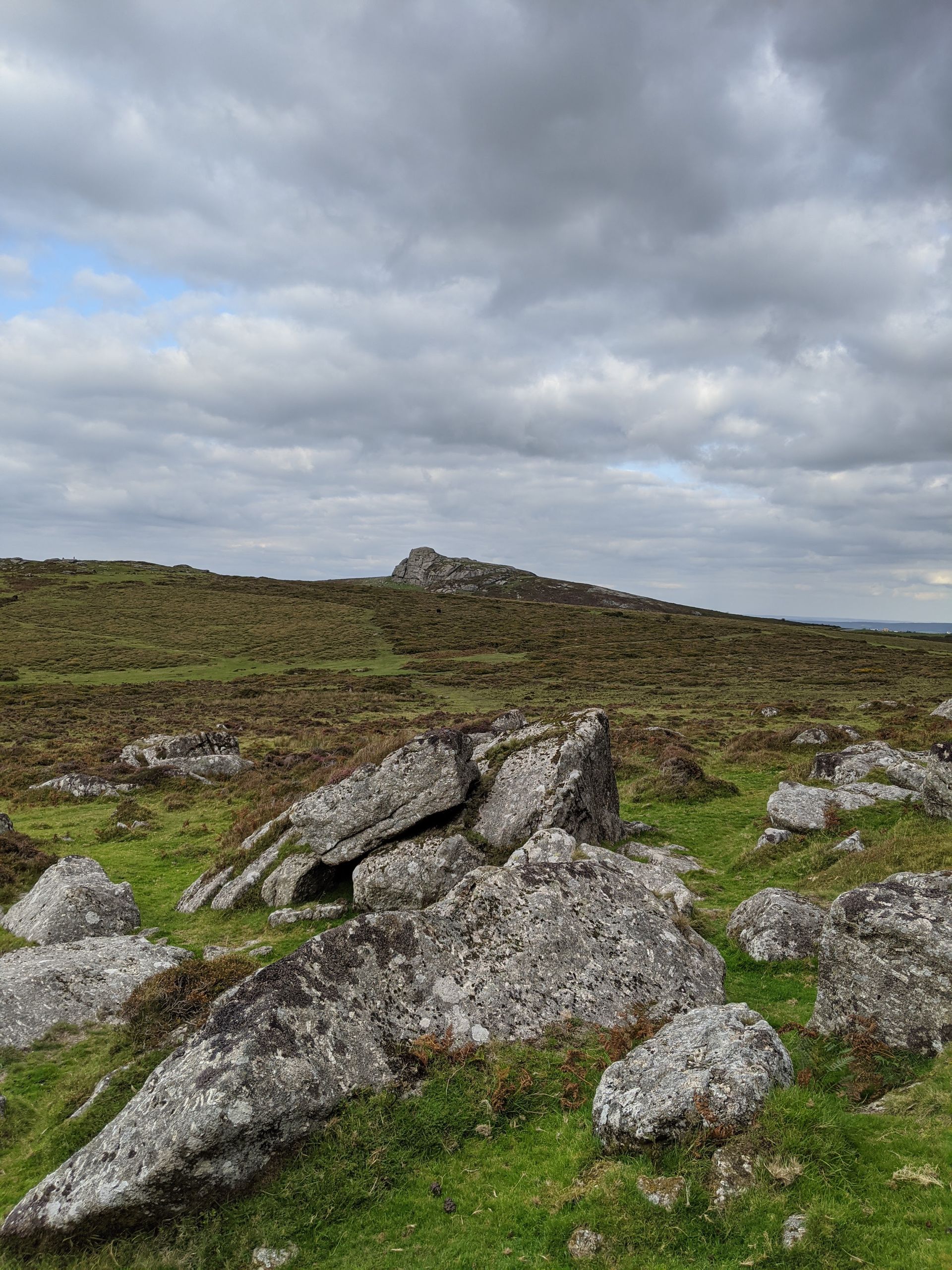 Lichen for Life Gallery - Photograph by Sue Cartwright, Spiral Leaf