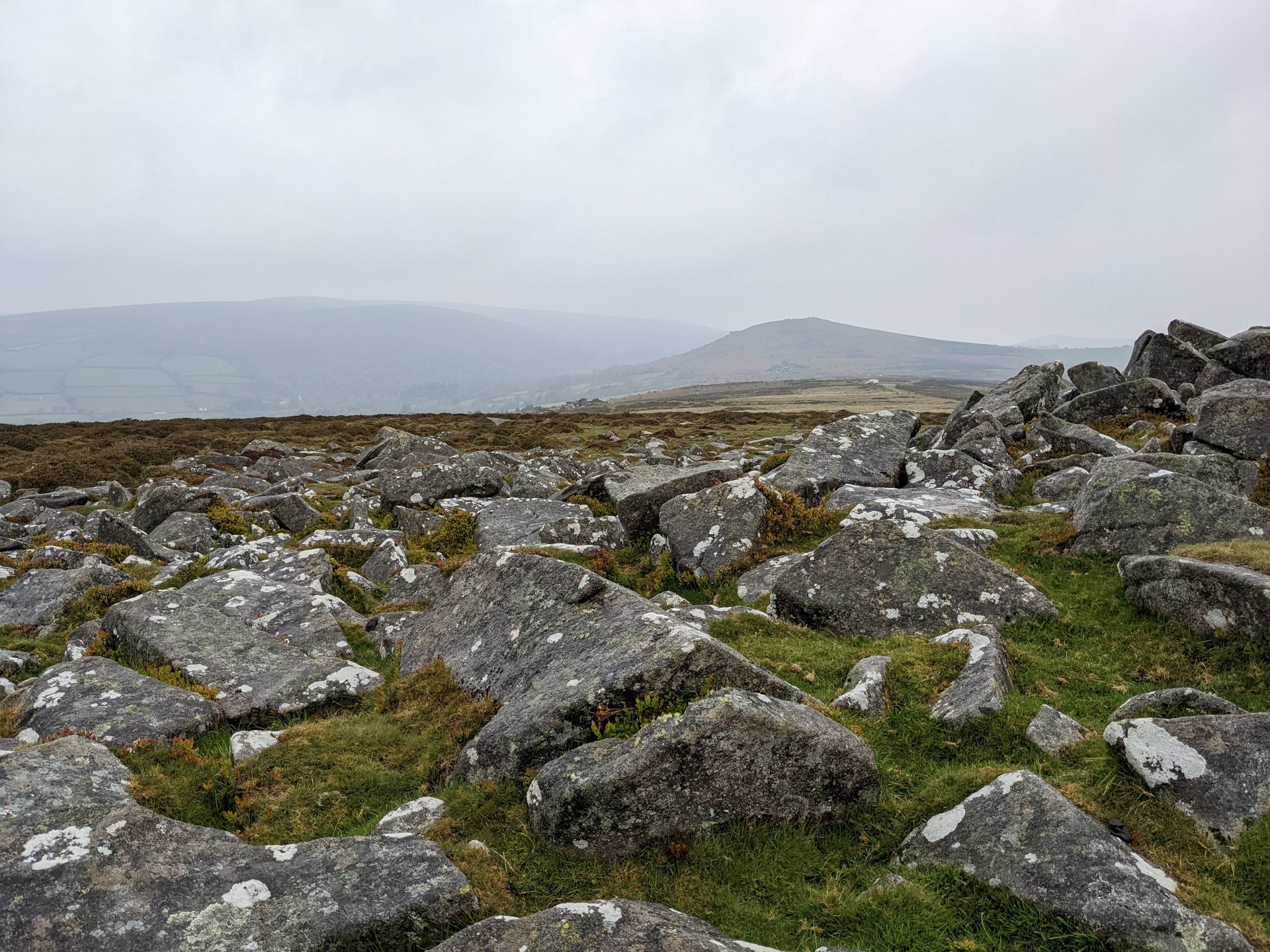 Lichen for Life Gallery - Photograph by Sue Cartwright, Spiral Leaf