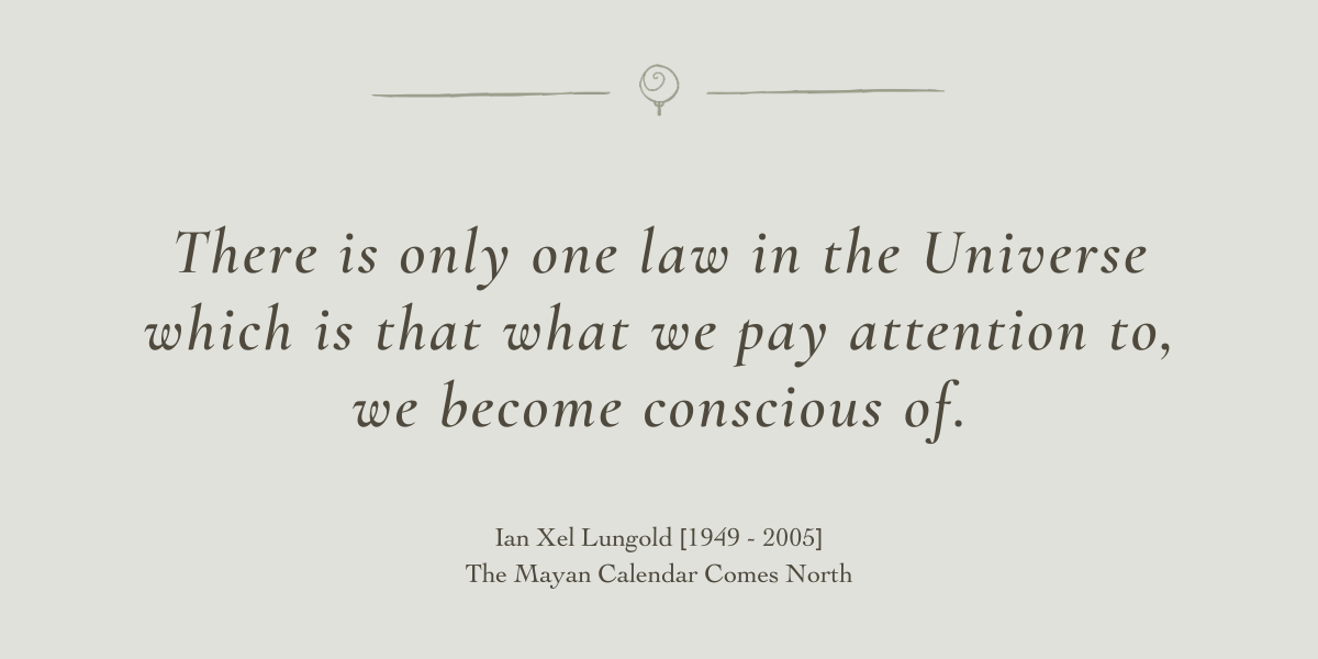 The Mayan Calendar and the Evolution of Consciousness by Sue Cartwright, Spiral Leaf