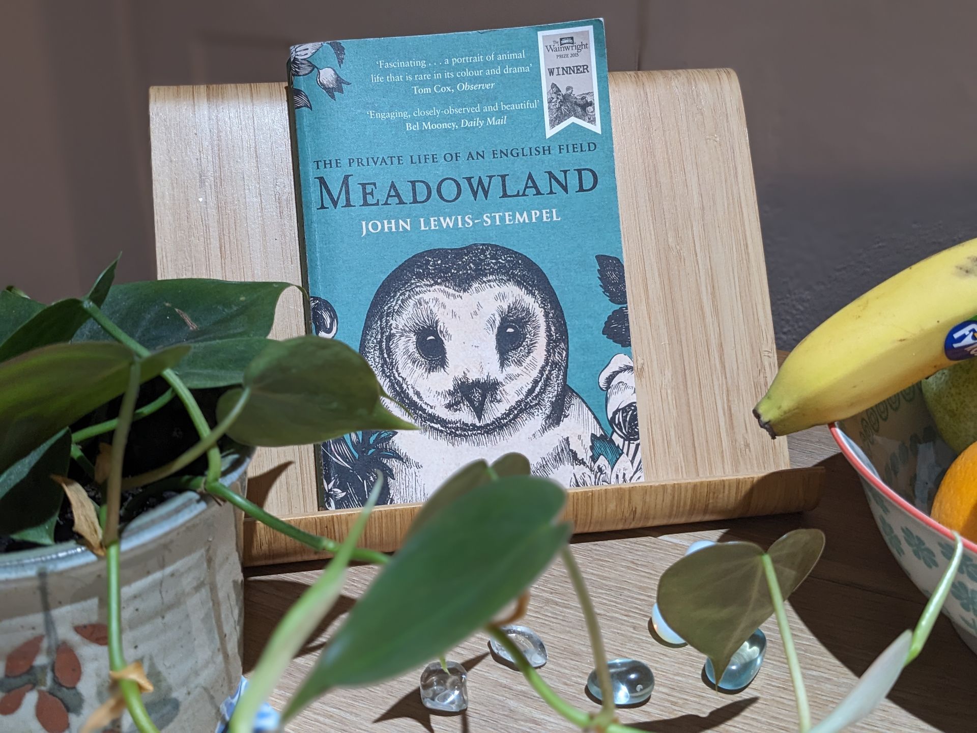 Meadowland by John Lewis-Stempel - A Book Review by Sue Cartwright, Spiral Leaf
