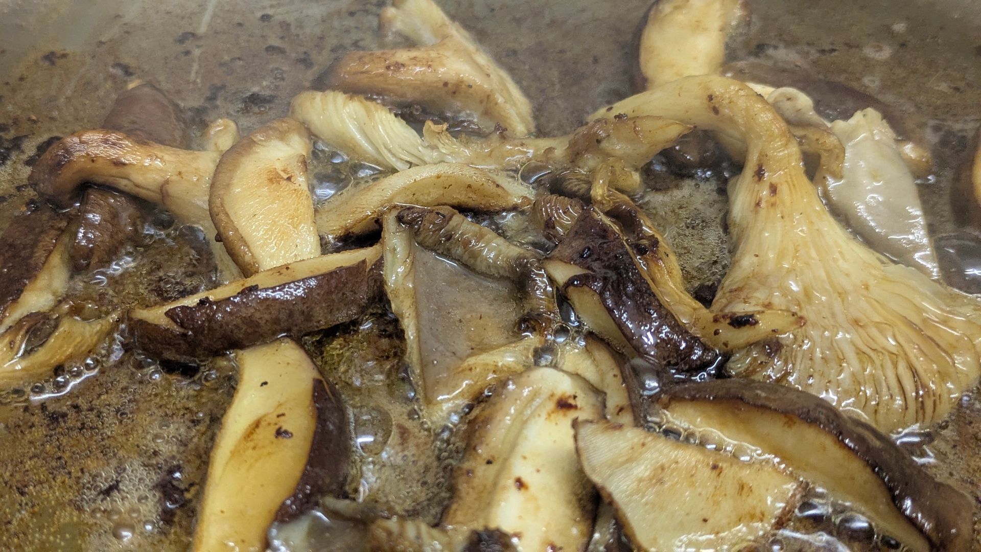 A Healing Fungi (Hen of the Woods) - Sue Cartwright, Spiral Leaf