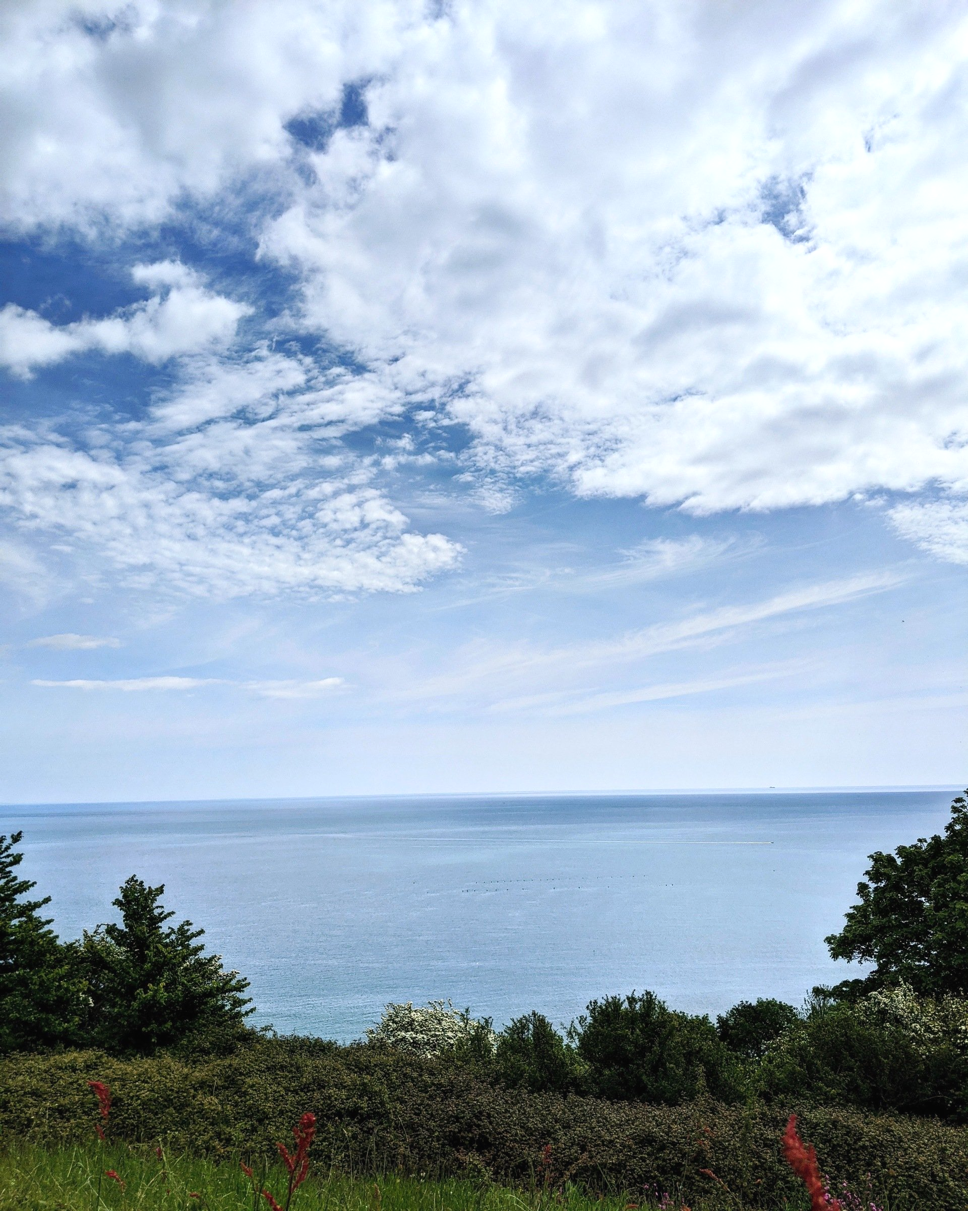 Seaside Gallery - Photograph by Sue Cartwright, Spiral Leaf