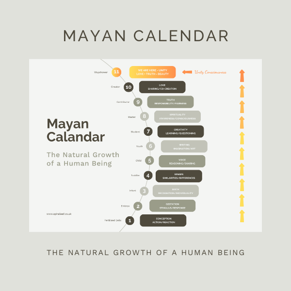 The Mayan Calendar and the Natural Growth of a Human Being (Free PDF Download) by Sue Cartwright, Spiral Leaf