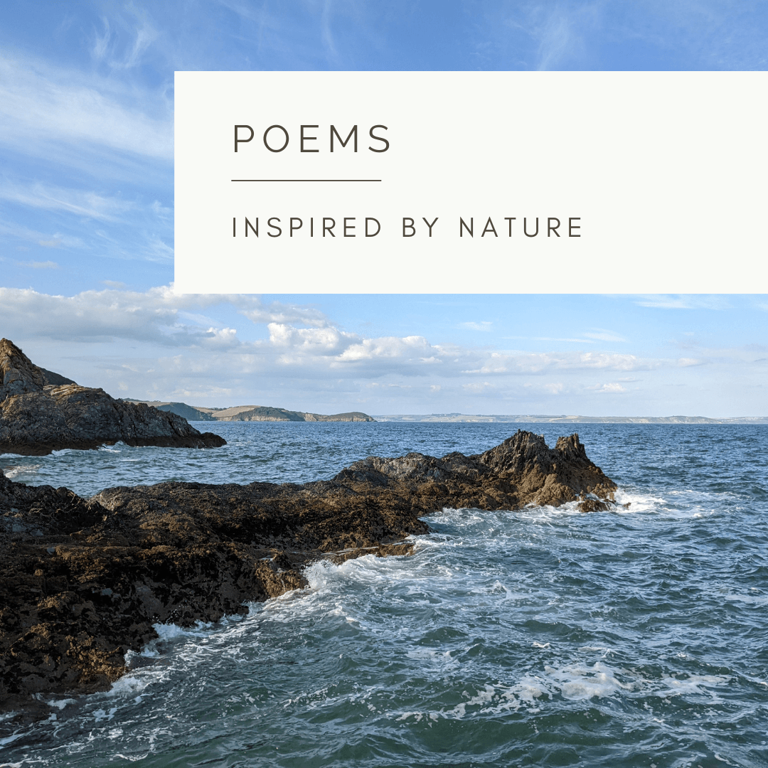 Nature's Energy - Poem and Video  by Sue Cartwright, Spiral Leaf