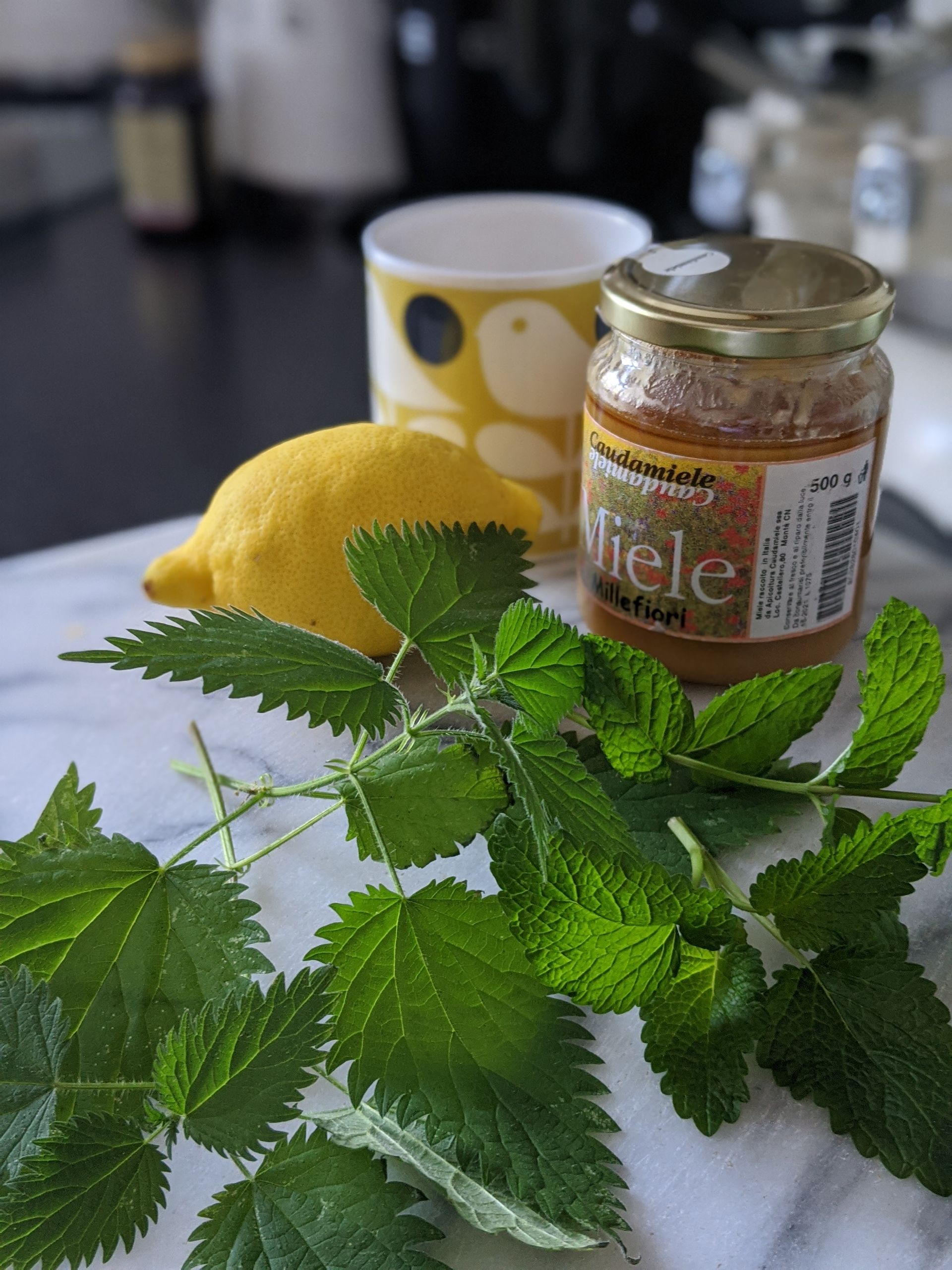 Refreshing and Cleansing Nettle Herbal Tea by Sue Cartwright, Spiral Leaf