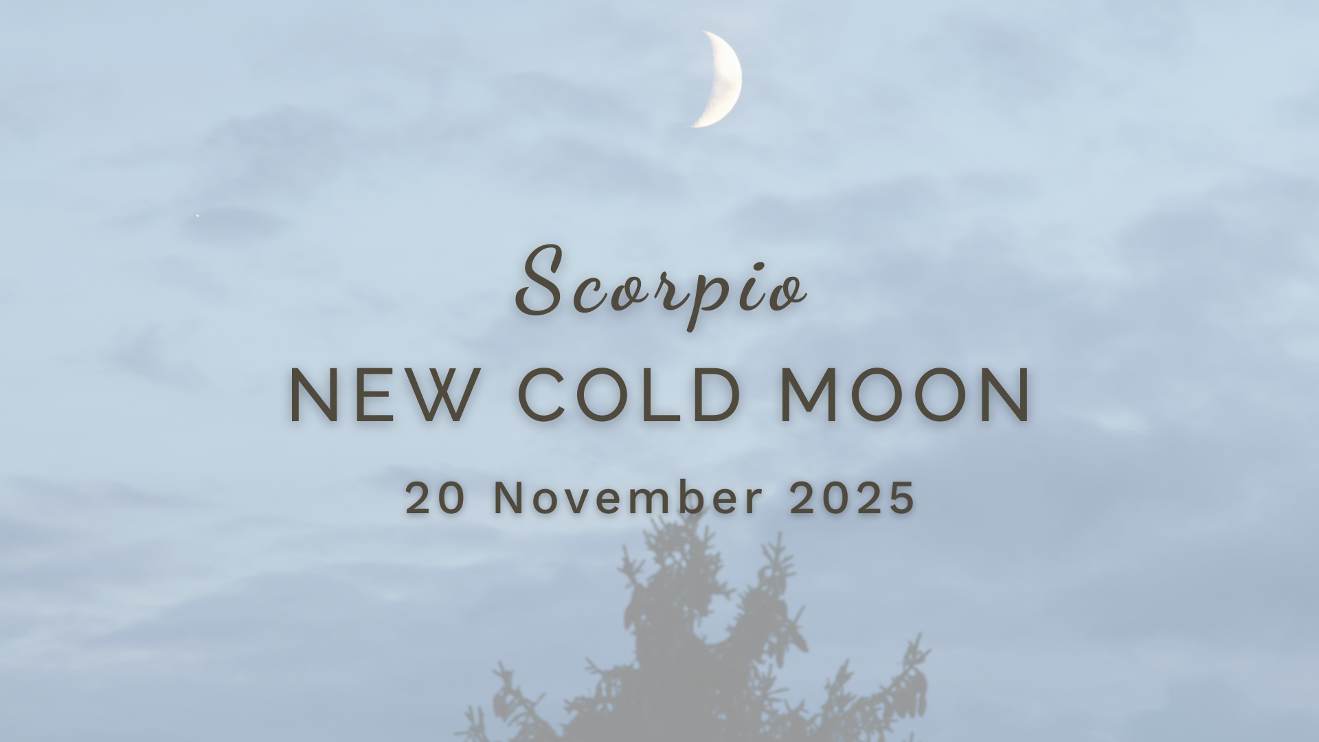 New Cold Moon in Scorpio - Thursday 20 November (2025) by Sue Cartwright, Spiral Leaf New Cold Moon in Scorpio - Thursday 20 November (2025) by Sue Cartwright, Spiral Leaf