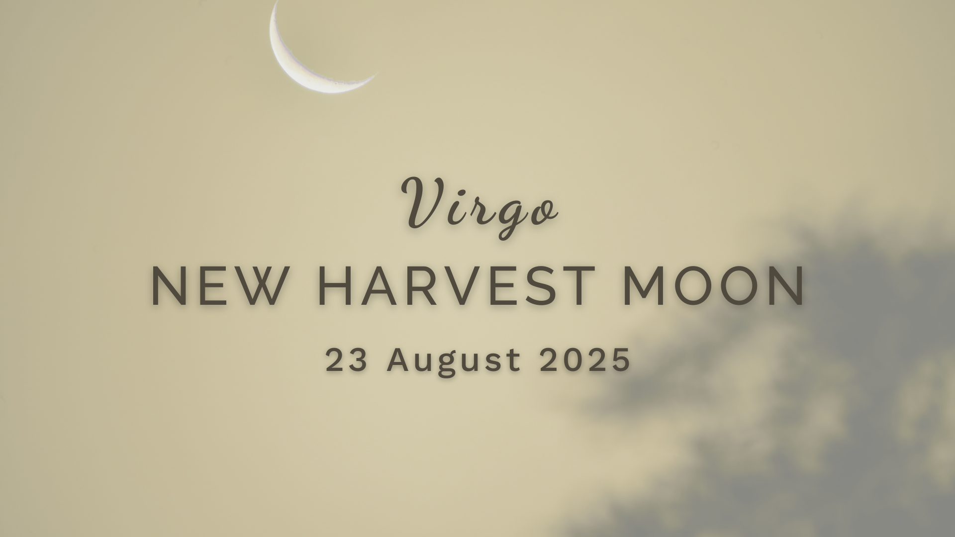 New Harvest Moon in Virgo - Saturday 23 August (2025) by Sue Cartwright, Spiral Leaf New Harvest Moon in Virgo - Saturday 23 August (2025) by Sue Cartwright, Spiral Leaf