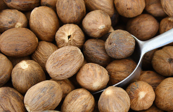 A Healing Spice (Nutmeg) by Sue Cartwright, Spiral Leaf A Healing Spice (Nutmeg) by Sue Cartwright, Spiral Leaf
