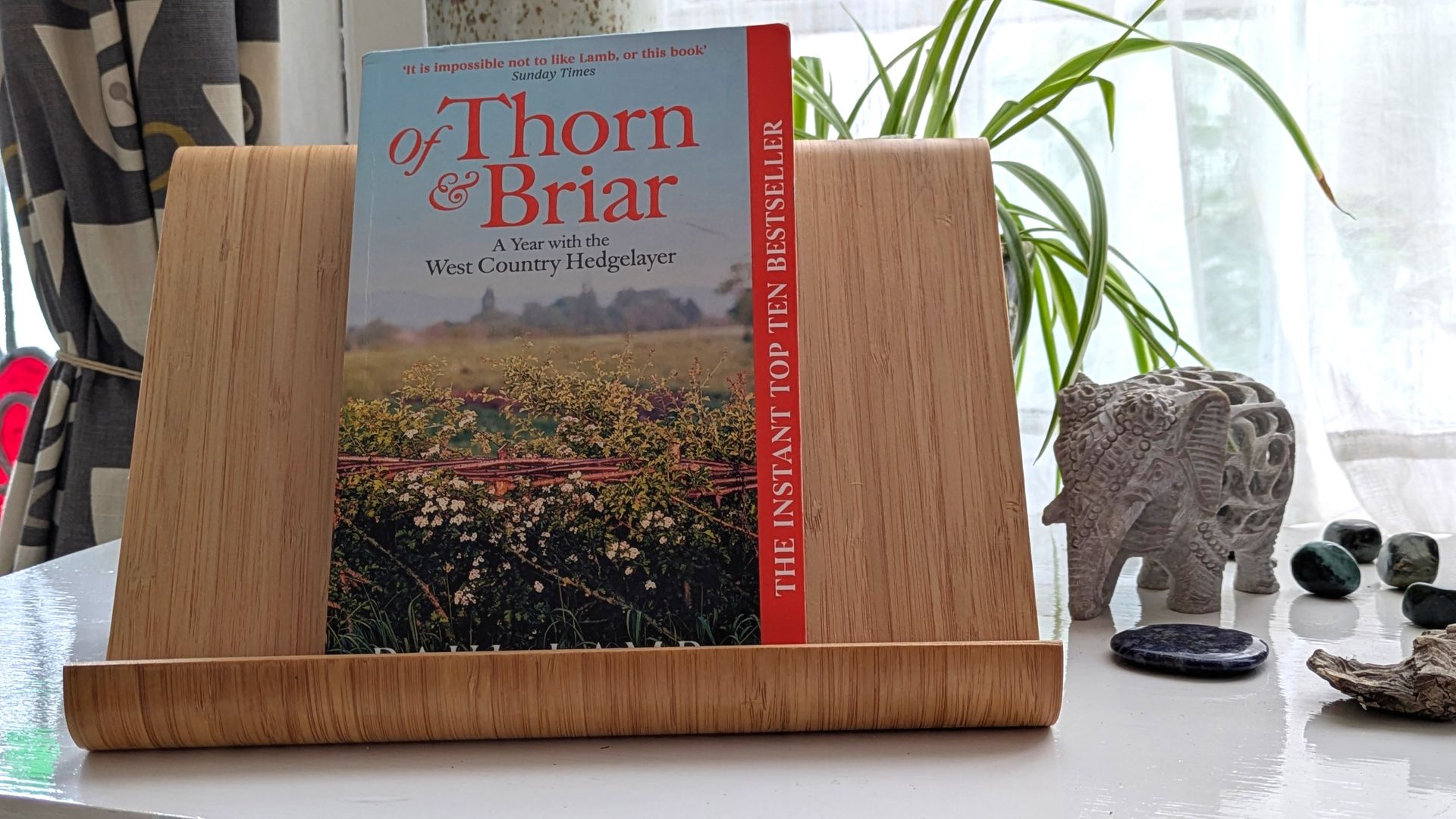 A book review about Of Briar and Thorn by Paul Lamb