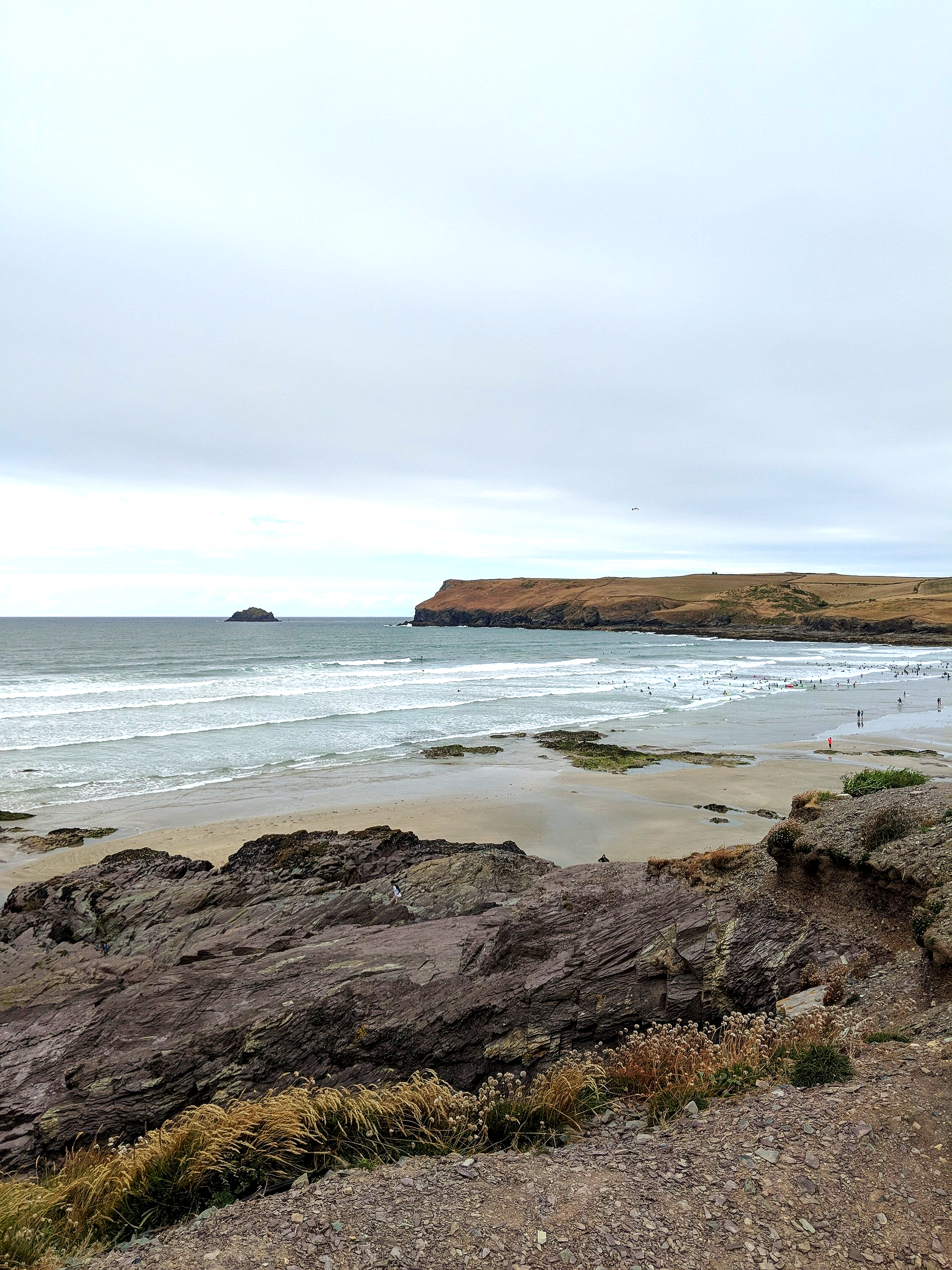 Seaside Gallery - Photograph by Sue Cartwright, Spiral Leaf