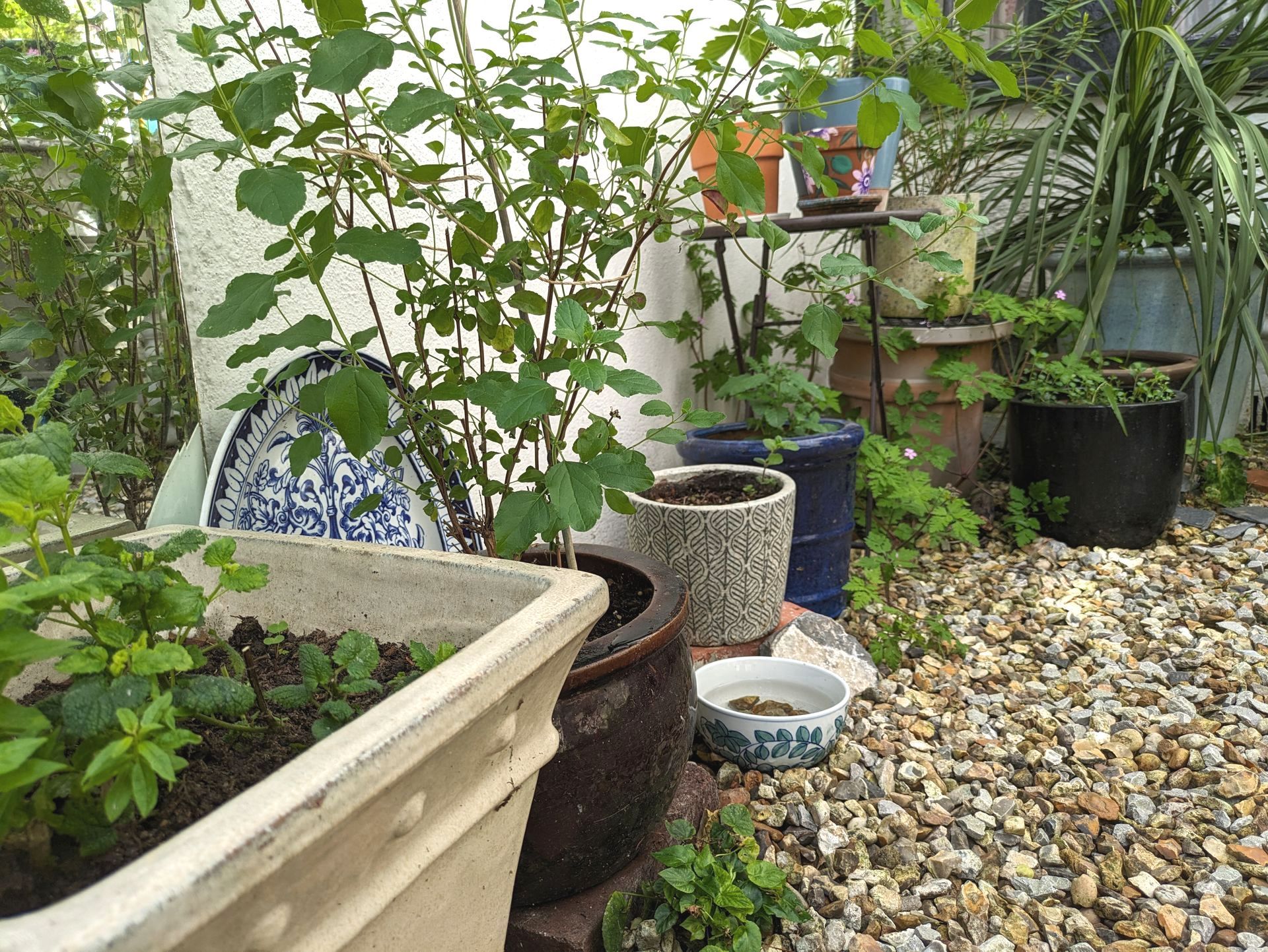 Sacred Space Gallery - Photographs by Sue Cartwright, Spiral Leaf