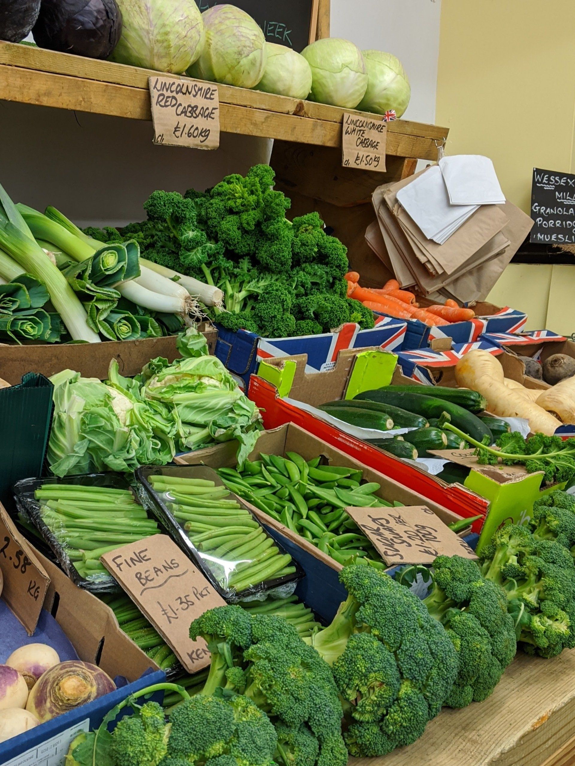 Almanac for January 2023 by Sue Cartwright, Spiral Leaf