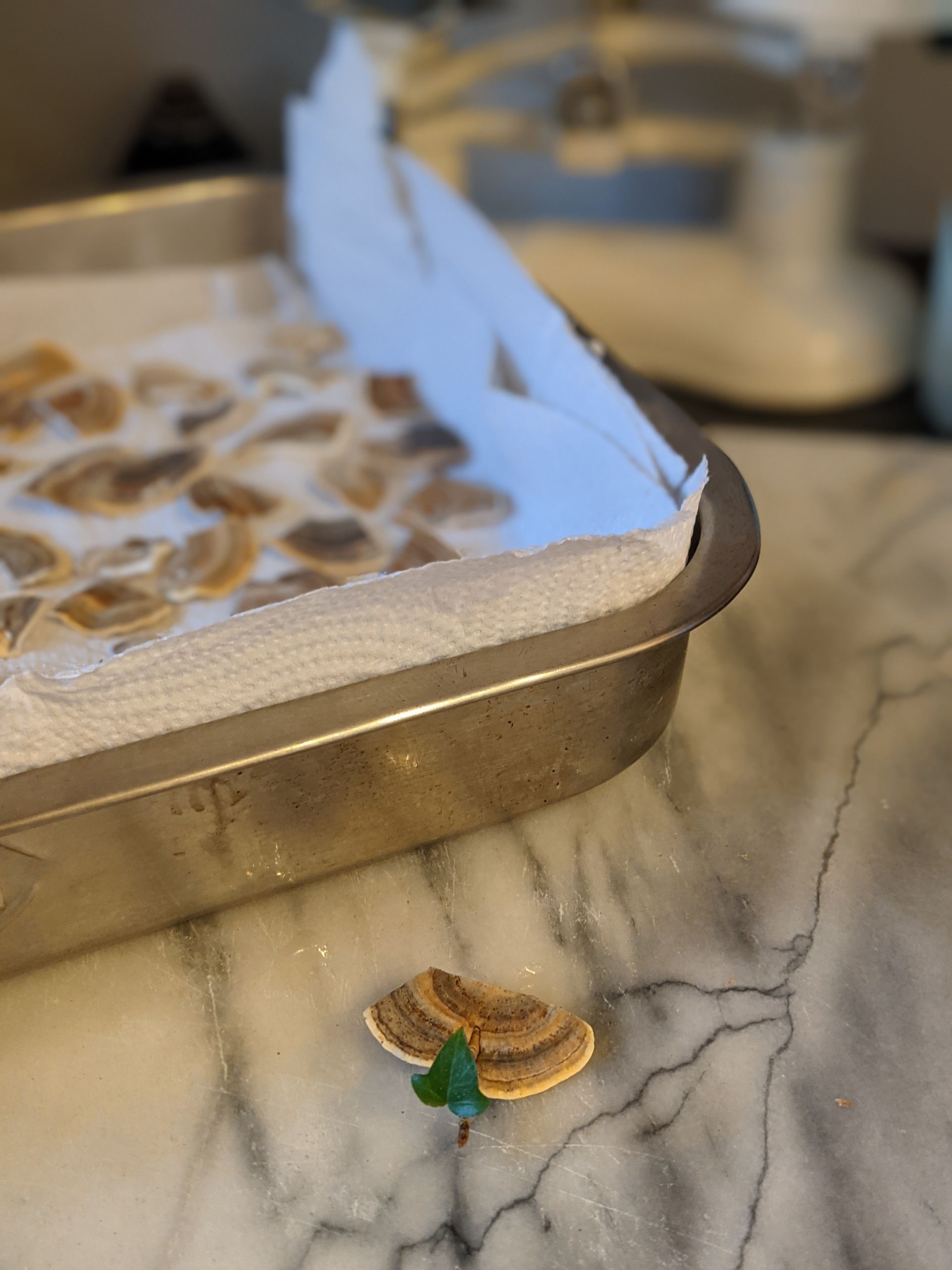 Turbo Boost Turkey Tail Tea - A Remedy by Sue Cartwright, Spiral Leaf