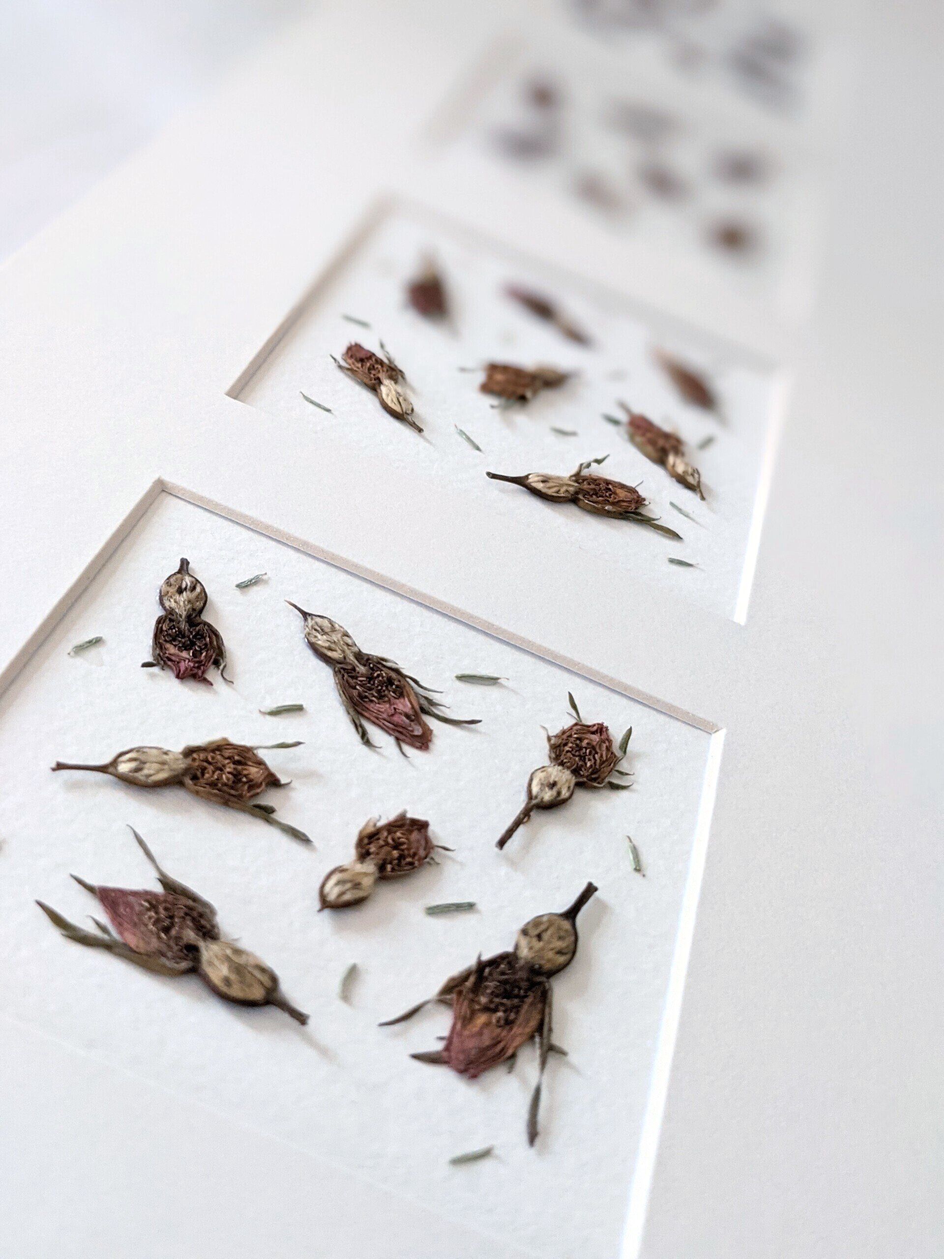 Handpressed Artwork by Sue Cartwright, Spiral Leaf