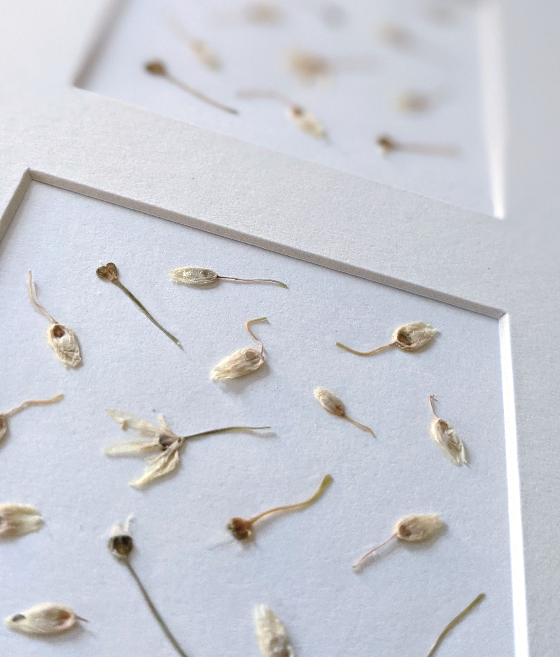 Handpressed Artwork by Sue Cartwright, Spiral Leaf
