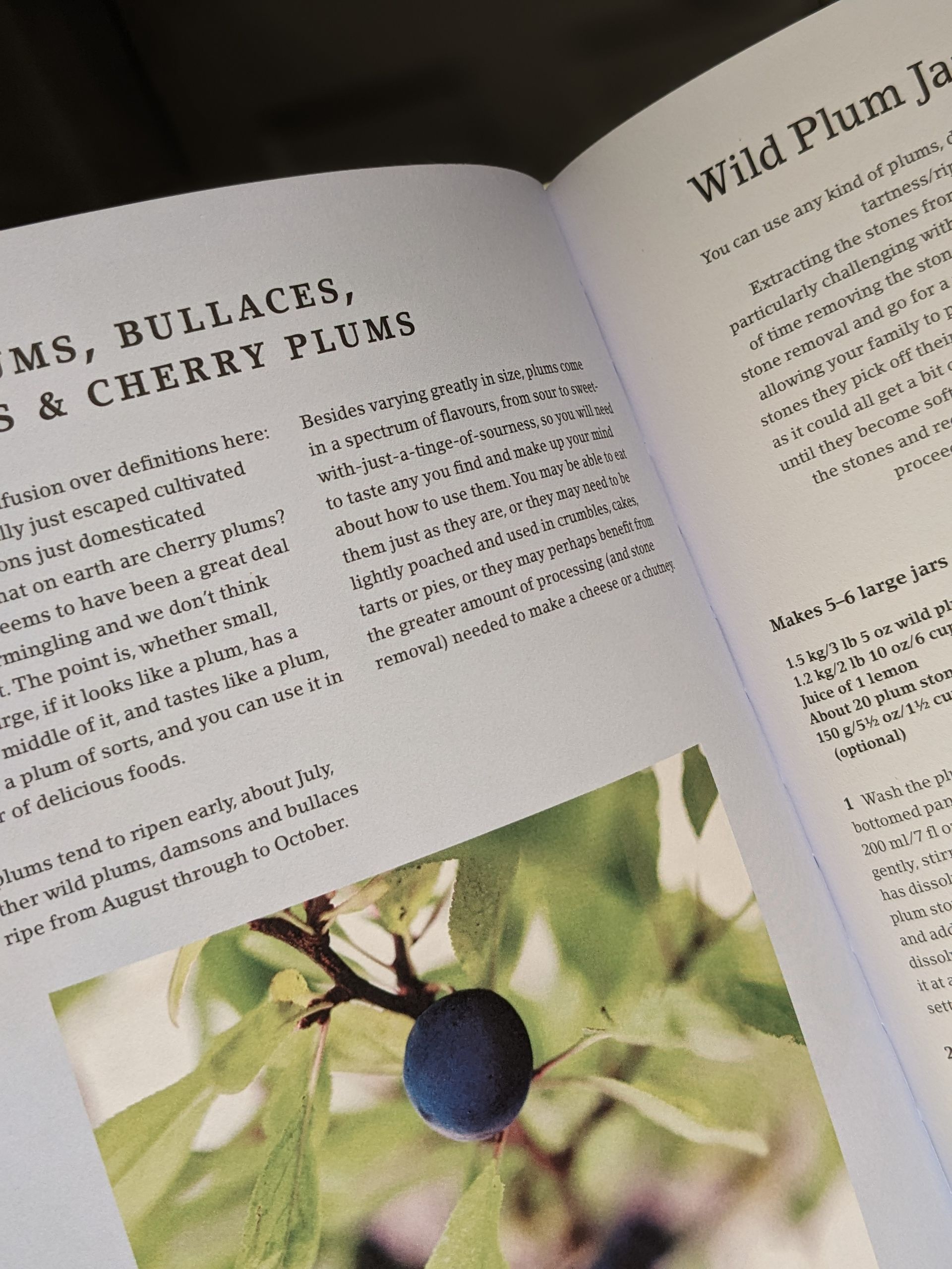 The Hedgerow Cookbook by Caro Willson and Ginny Knox - Book Review by Sue Cartwright